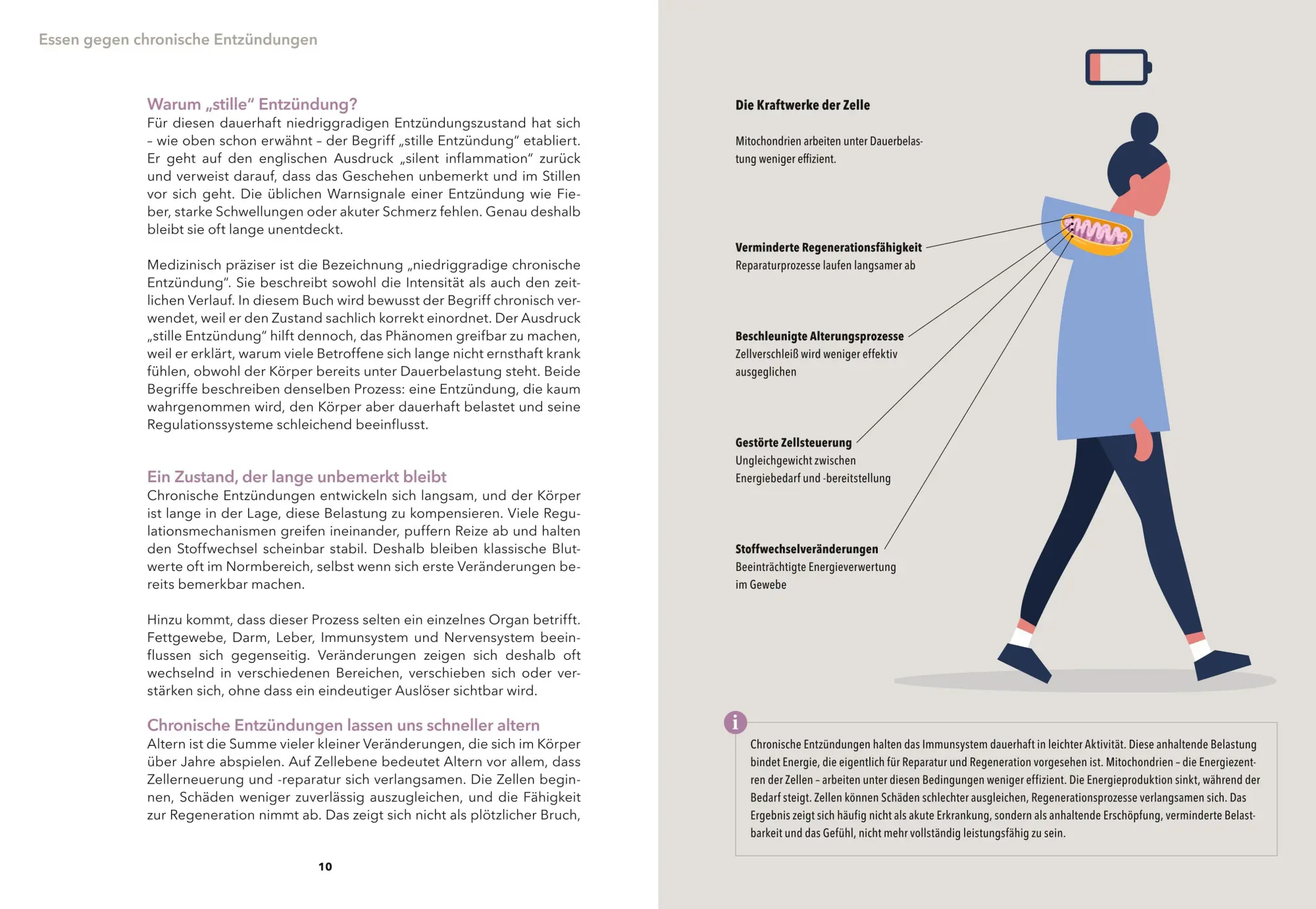 Bild: 9783758902802 | Airfryer Balance - Essen gegen chronische Entzündungen | Buch | 176 S.