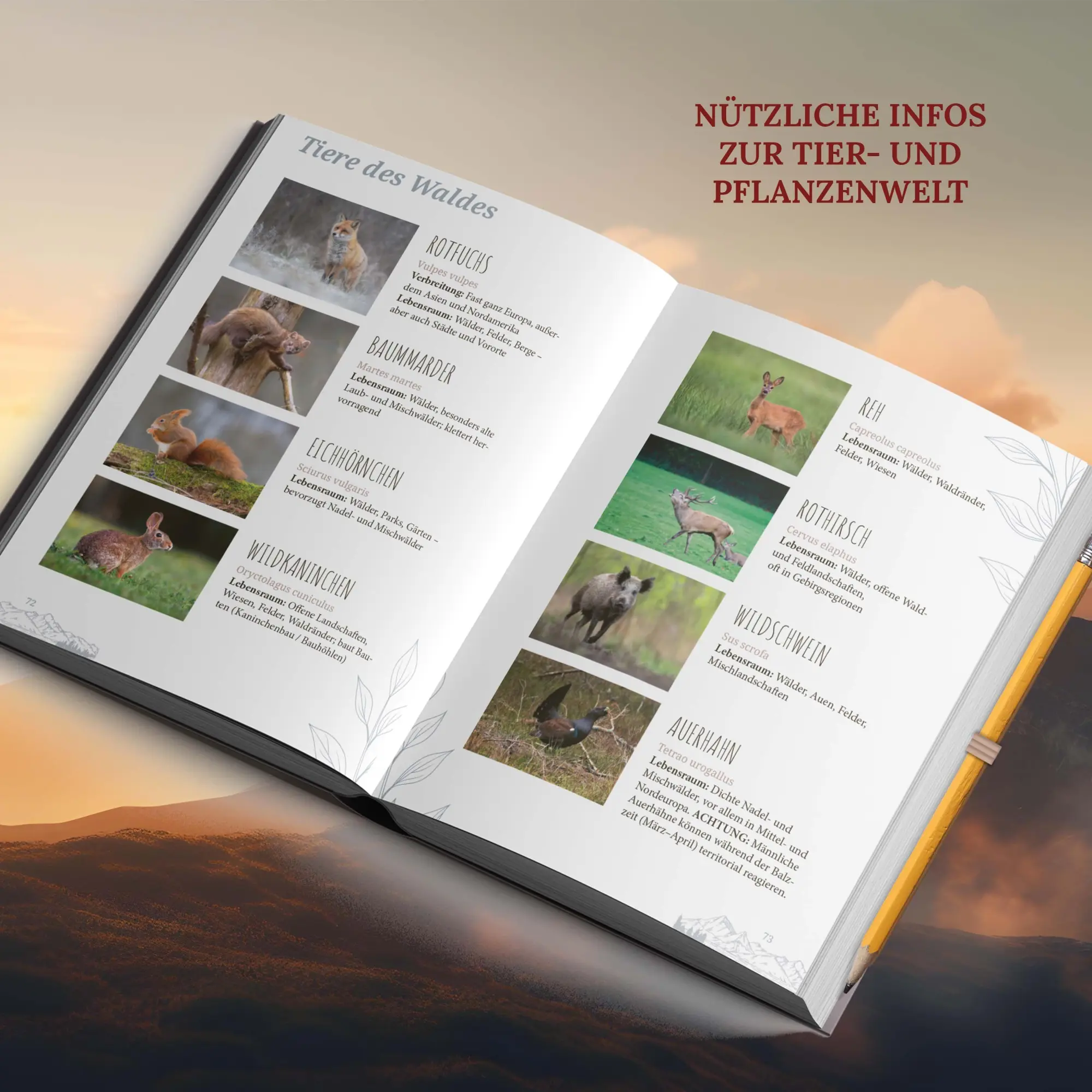 Bild: 9783986602802 | Marmeladenglasmomente unter freiem Himmel | Anna-Lena Wilhelmy | Buch