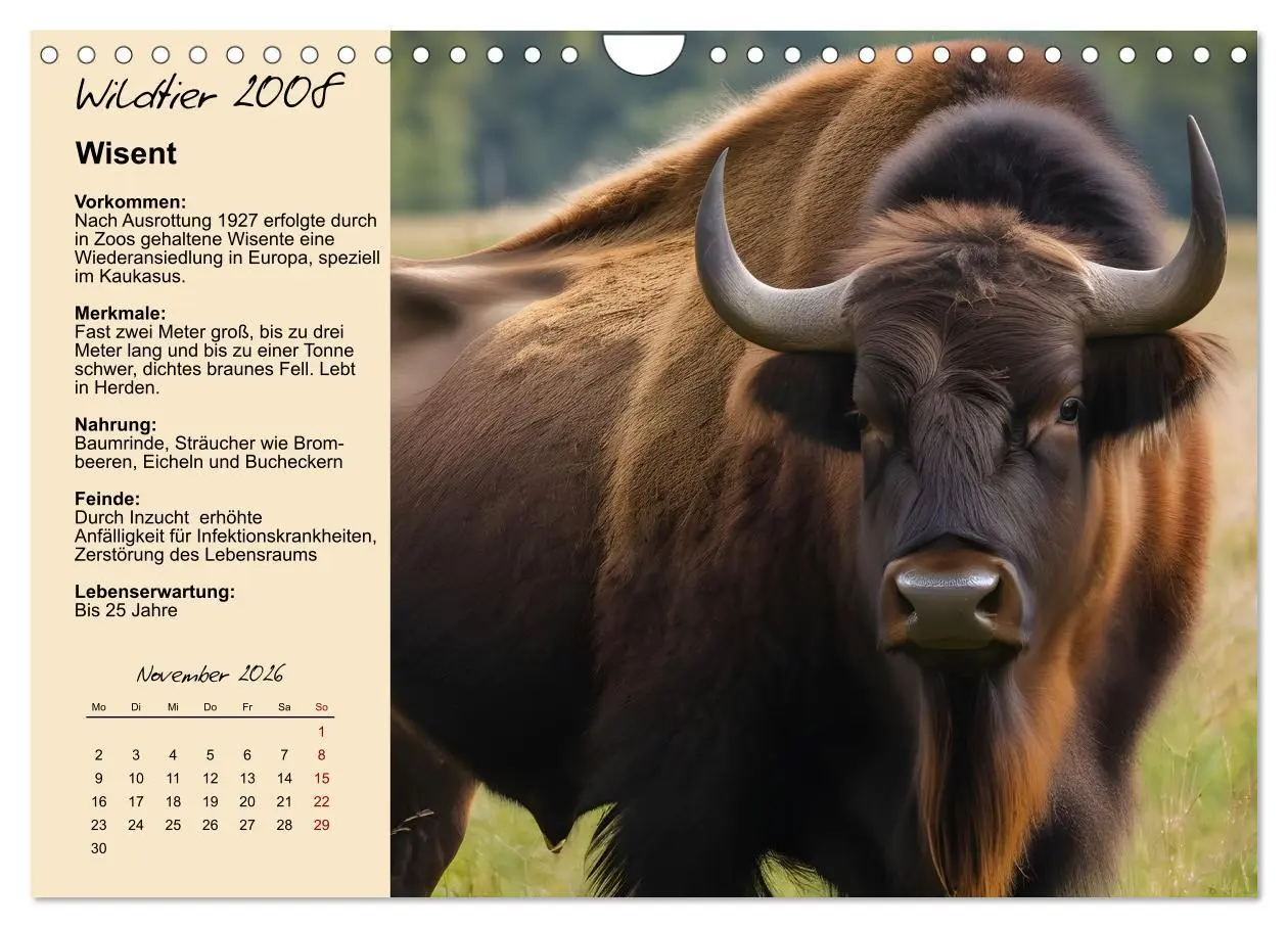 Bild: 9783457482902 | Wildtiere des Jahres (Wandkalender 2026 DIN A4 quer), CALVENDO...