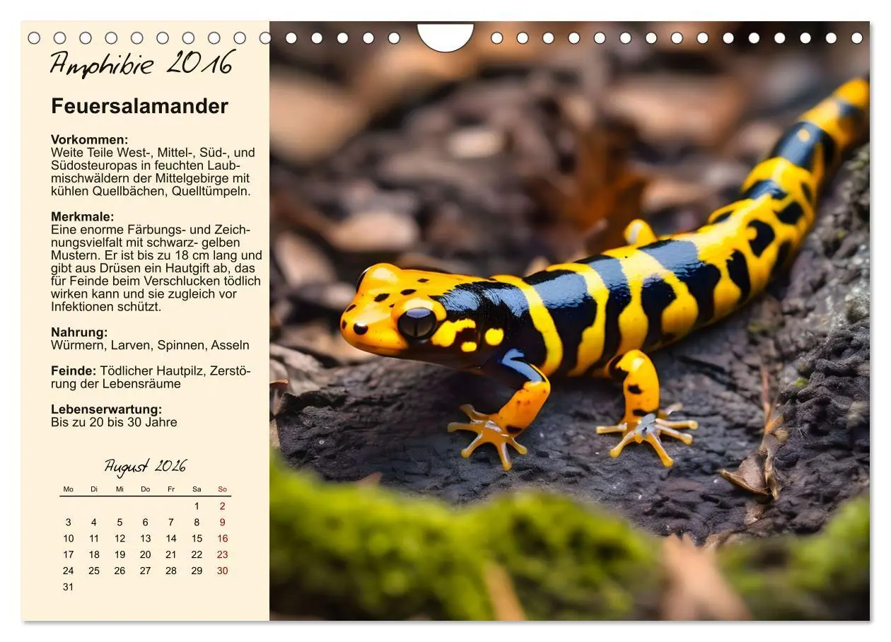 Bild: 9783457482902 | Wildtiere des Jahres (Wandkalender 2026 DIN A4 quer), CALVENDO...