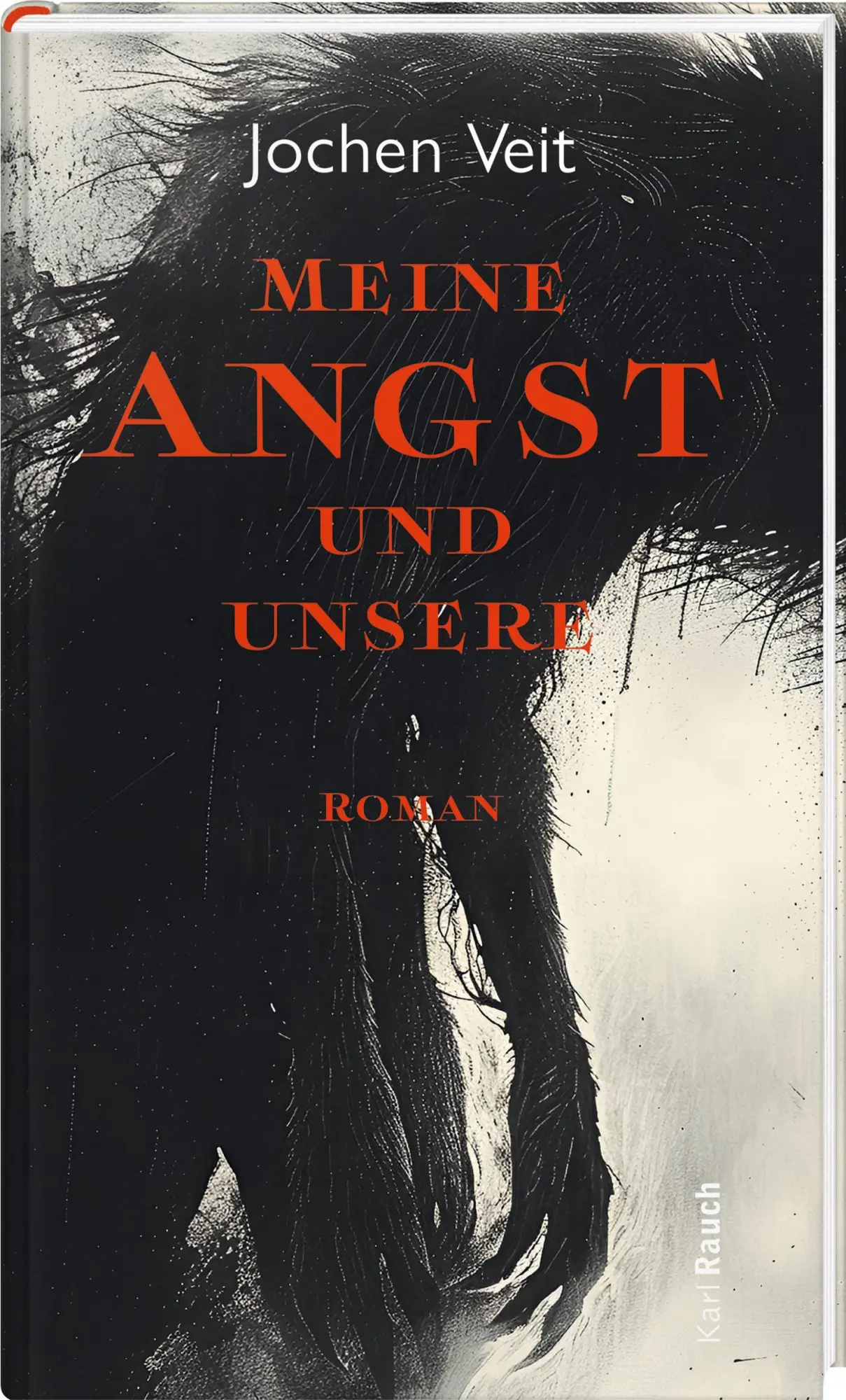 Cover: 9783792002902 | Meine Angst und unsere | Roman | Jochen Veit | Buch | 200 S. | Deutsch