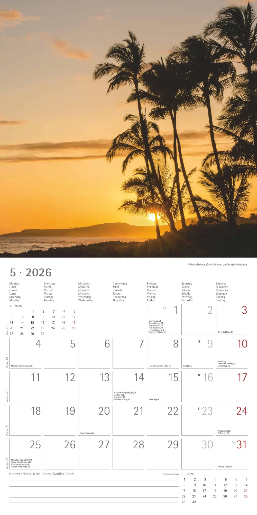 Bild: 4069095003002 | Summer Dreams 2026 - Broschürenkalender 30x30 cm (30x60 geöffnet) -...