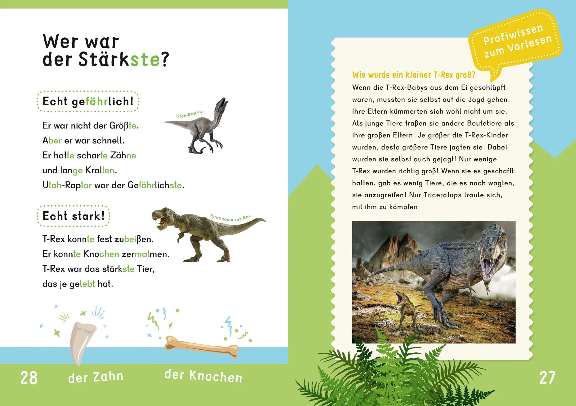 Bild: 9783411733002 | Dein Lesestart: Weißt du schon alles über Dinos? Ab 1. Klasse | Buch