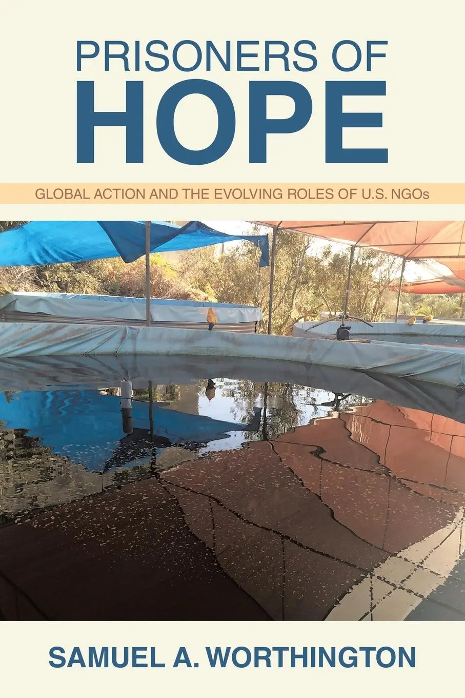 Cover: 9781665773102 | Prisoners of Hope | Global Action and the Evolving Roles of U.S. NGOs