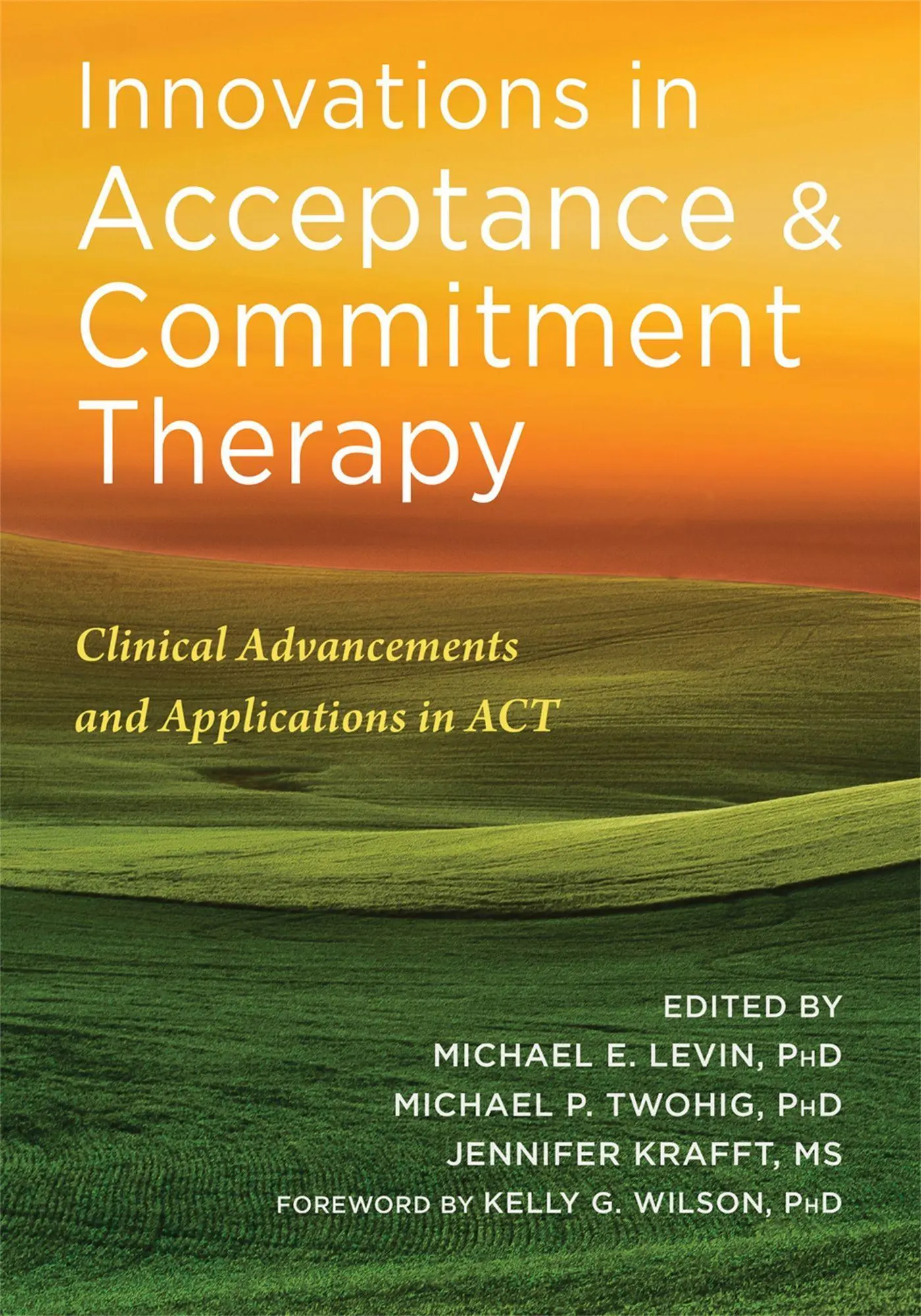 Cover: 9781684033102 | Innovations in Acceptance and Commitment Therapy | Levin (u. a.)