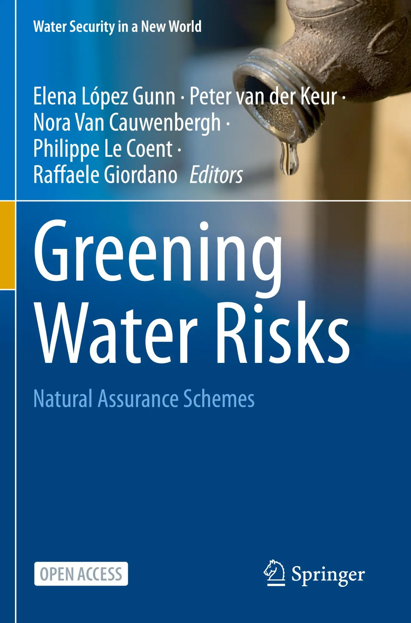Cover: 9783031253102 | Greening Water Risks | Natural Assurance Schemes | López-Gunn (u. a.)