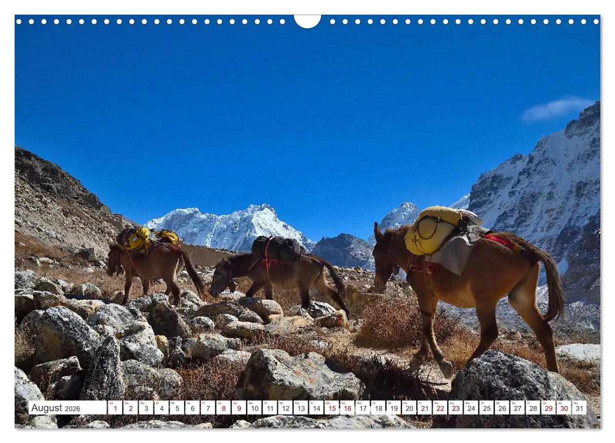 Bild: 9783457503102 | Trekking zum Kangchendzönga (Wandkalender 2026 DIN A3 quer),...