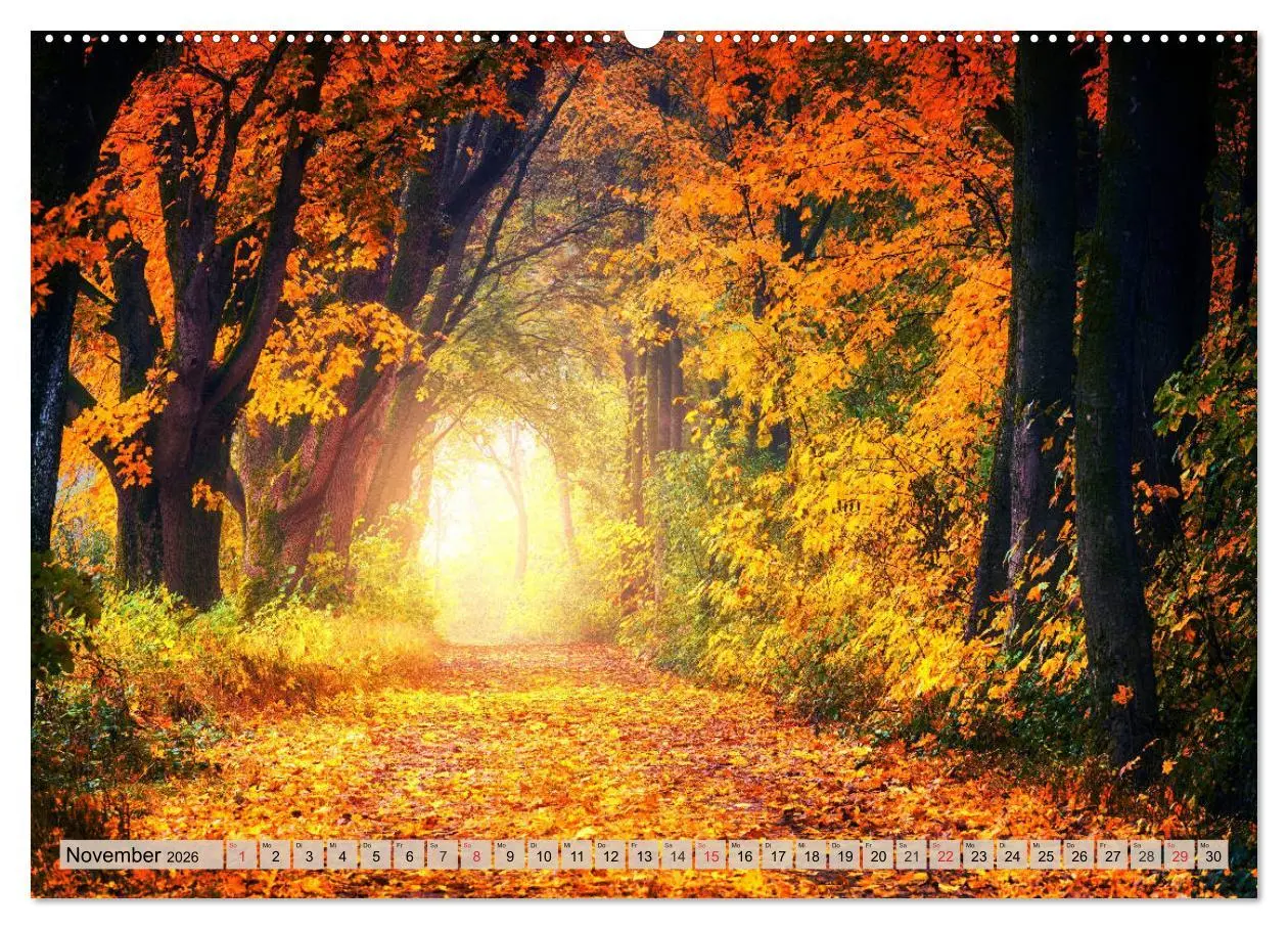 Bild: 9783457743102 | Leise durch den Wald. Sich Zeit nehmen und der Stille lauschen...