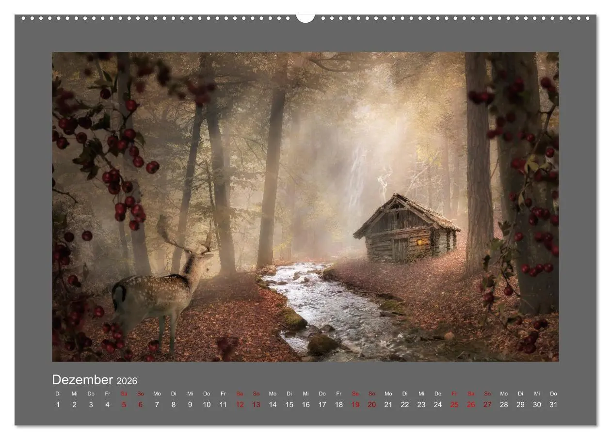 Bild: 9783457813102 | Waldgeheimnisse (Wandkalender 2026 DIN A2 quer), CALVENDO...