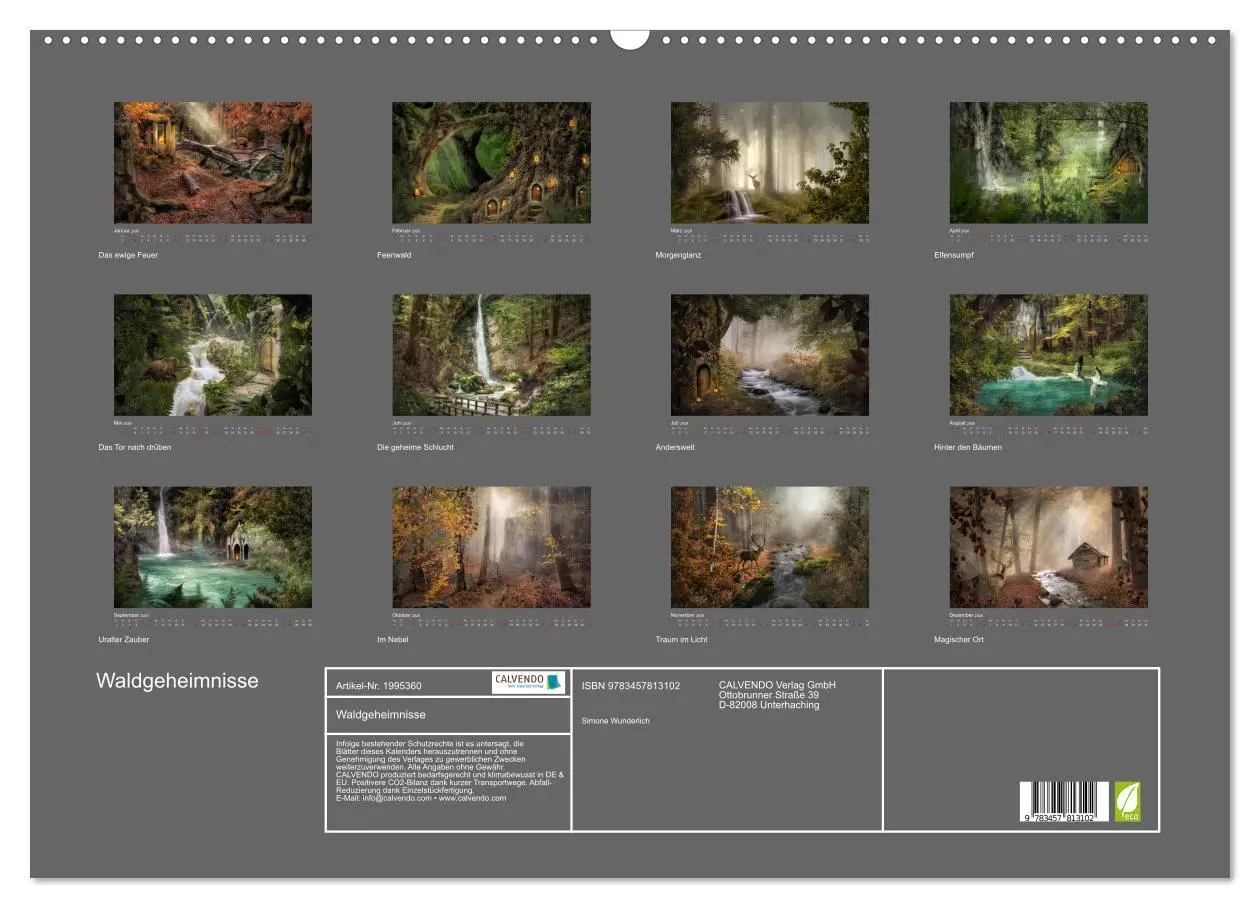 Bild: 9783457813102 | Waldgeheimnisse (Wandkalender 2026 DIN A2 quer), CALVENDO...