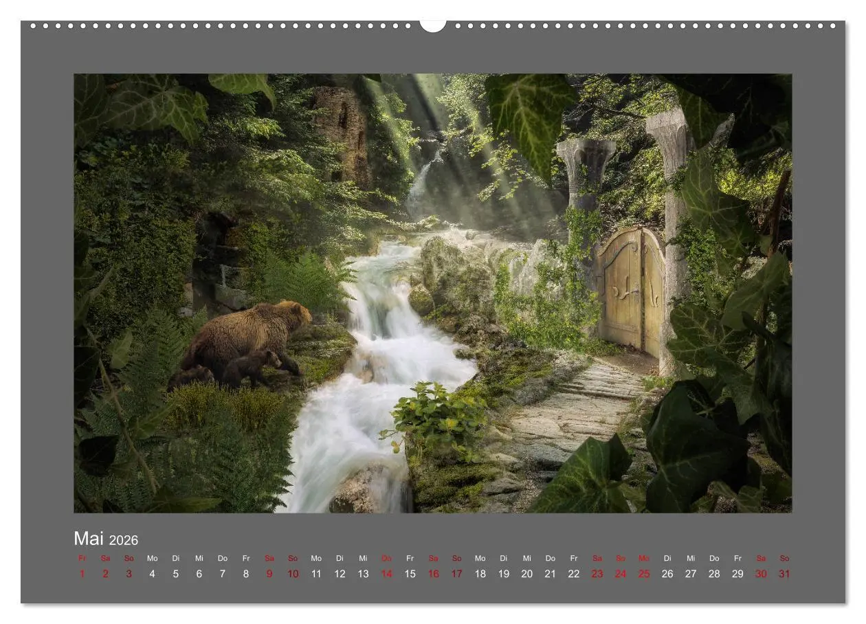 Bild: 9783457813102 | Waldgeheimnisse (Wandkalender 2026 DIN A2 quer), CALVENDO...