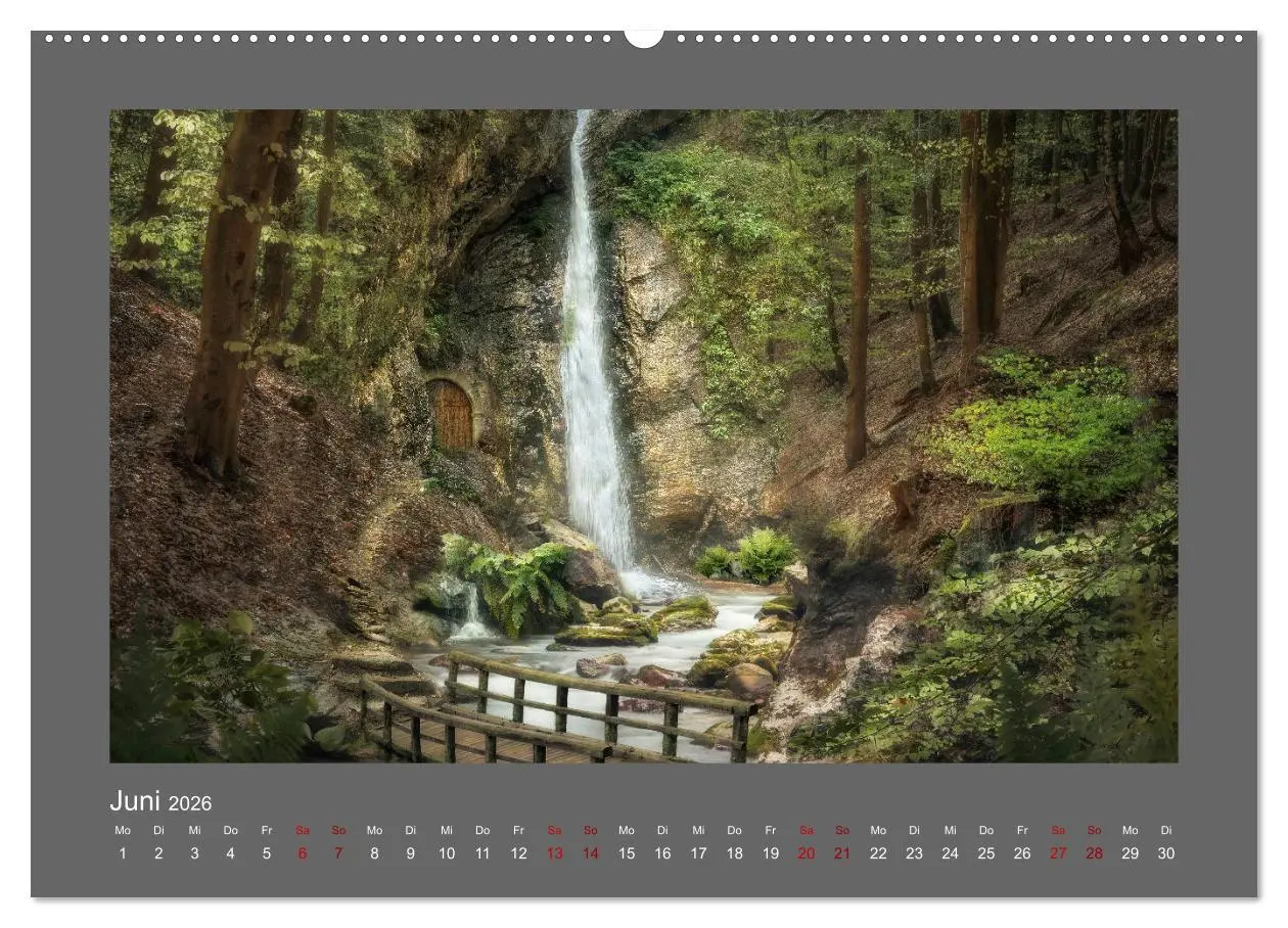 Bild: 9783457813102 | Waldgeheimnisse (Wandkalender 2026 DIN A2 quer), CALVENDO...