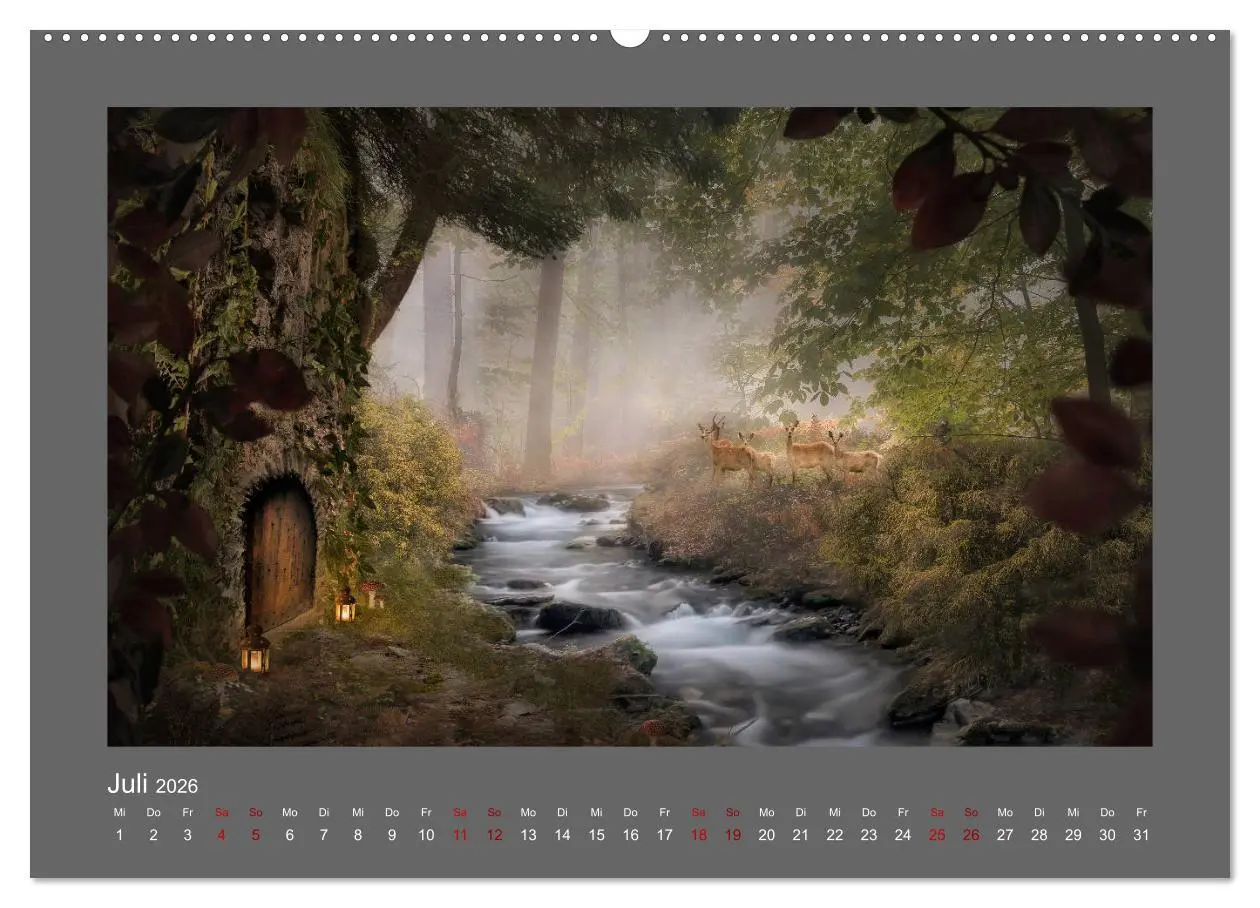 Bild: 9783457813102 | Waldgeheimnisse (Wandkalender 2026 DIN A2 quer), CALVENDO...