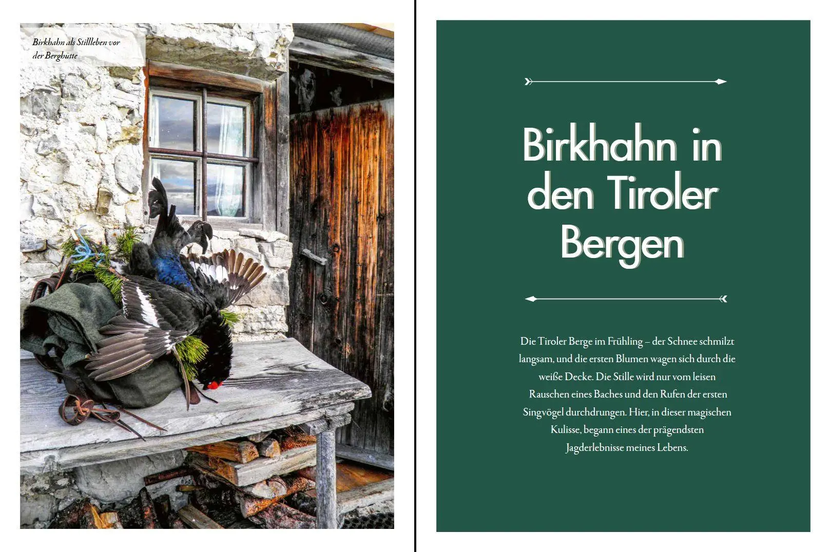 Bild: 9783702023102 | Wild Life Style | Jagen in aller Welt | Artio (u. a.) | Buch | 160 S.