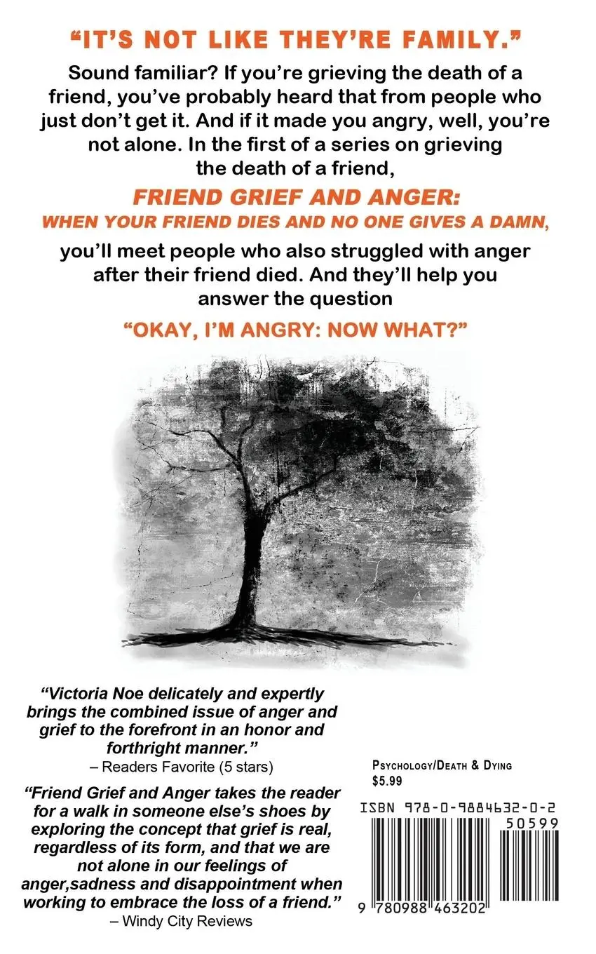 Rückseite: 9780988463202 | Friend Grief and Anger | Victoria Noe | Taschenbuch | Englisch | 2013