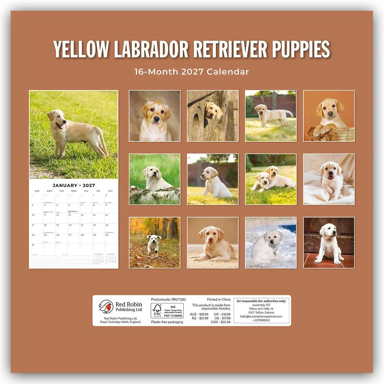 Bild: 9781837013302 | Yellow Labrador Retriever Puppies - Gelbe Labrador Retriever Welpen...