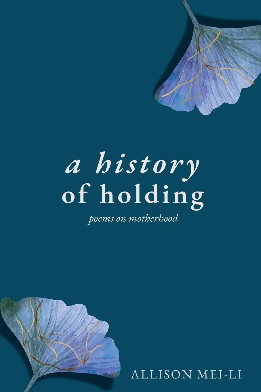 Cover: 9798993423302 | A History of Holding | Poems on Motherhood | Allison Mei-Li | Buch