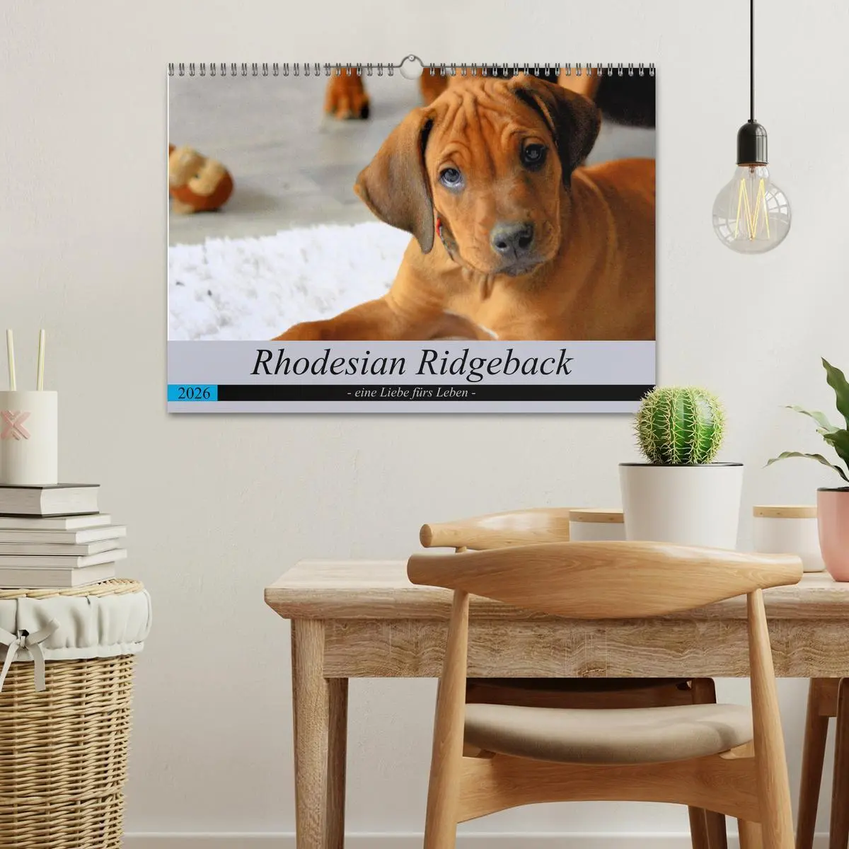 Bild: 9783457883402 | Rhodesian Ridgeback - eine Liebe fürs Leben (Wandkalender 2026 DIN...
