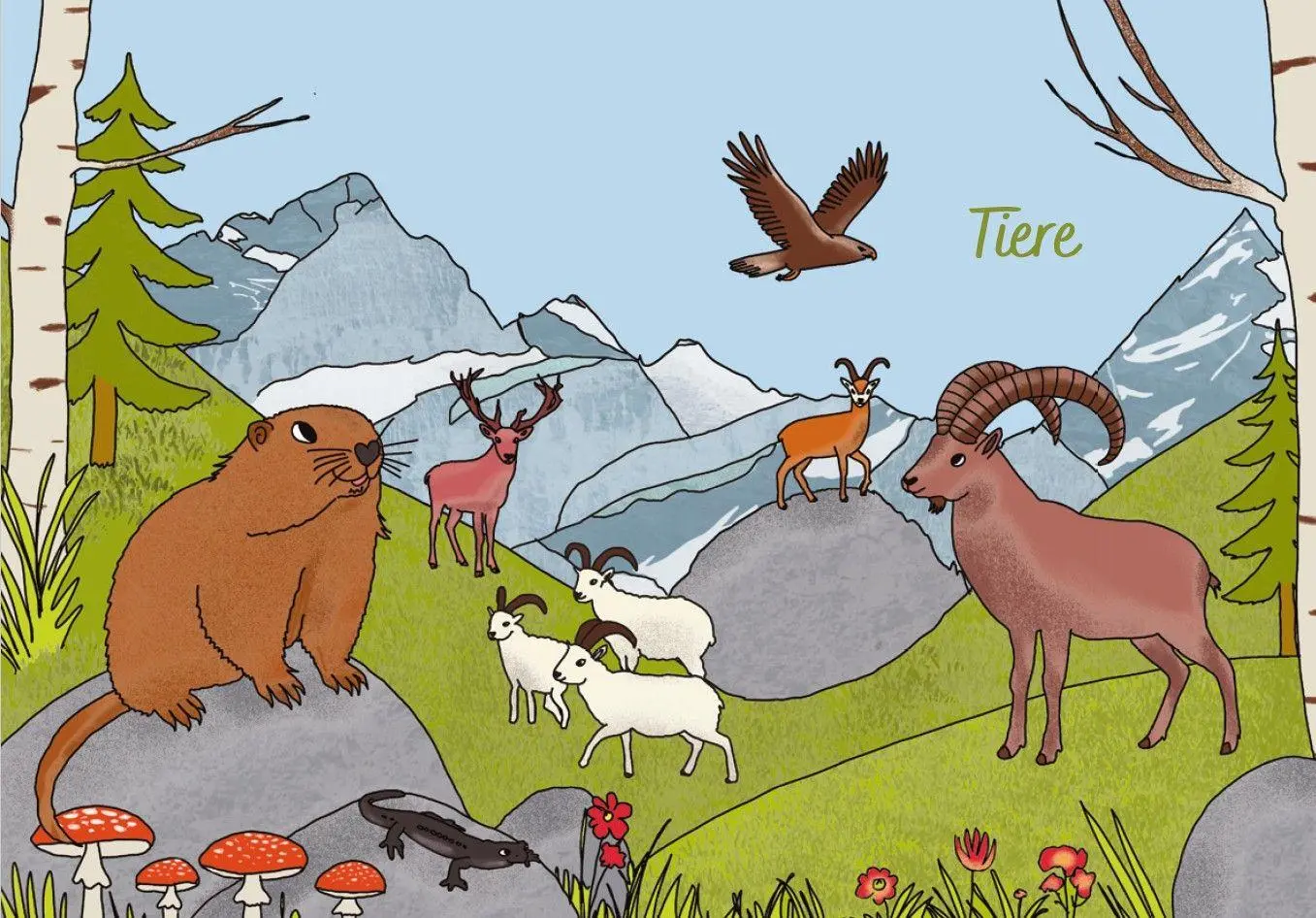 Bild: 9783946323402 | Schweiz for kids | Carolin Jenkner-Kruel | Taschenbuch | 128 S. | 2026