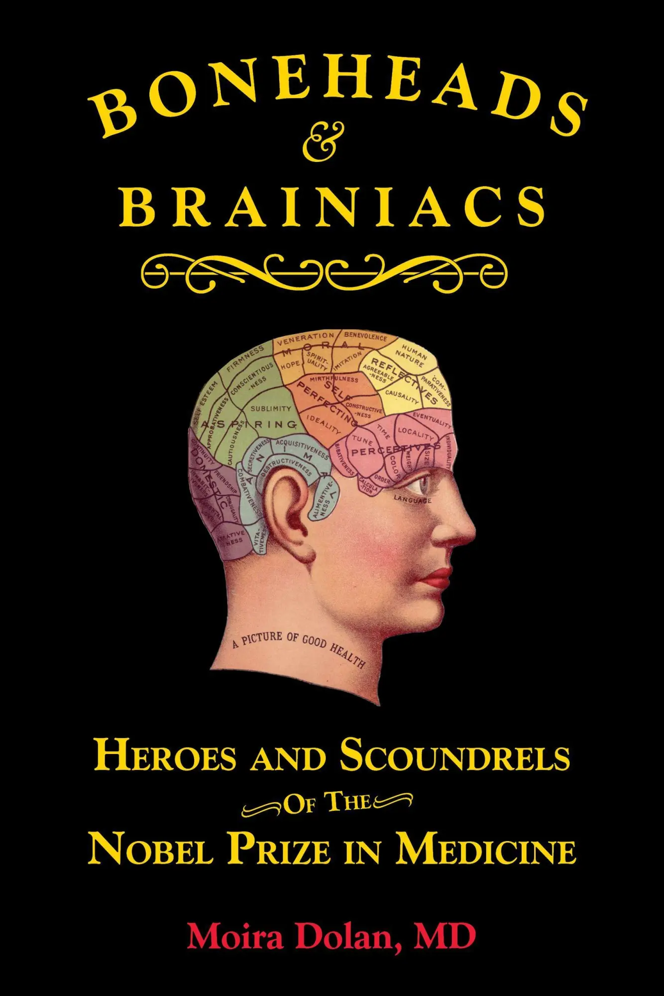 Cover: 9781610353502 | Boneheads and Brainiacs | Moira Dolan | Taschenbuch | Englisch | 2020