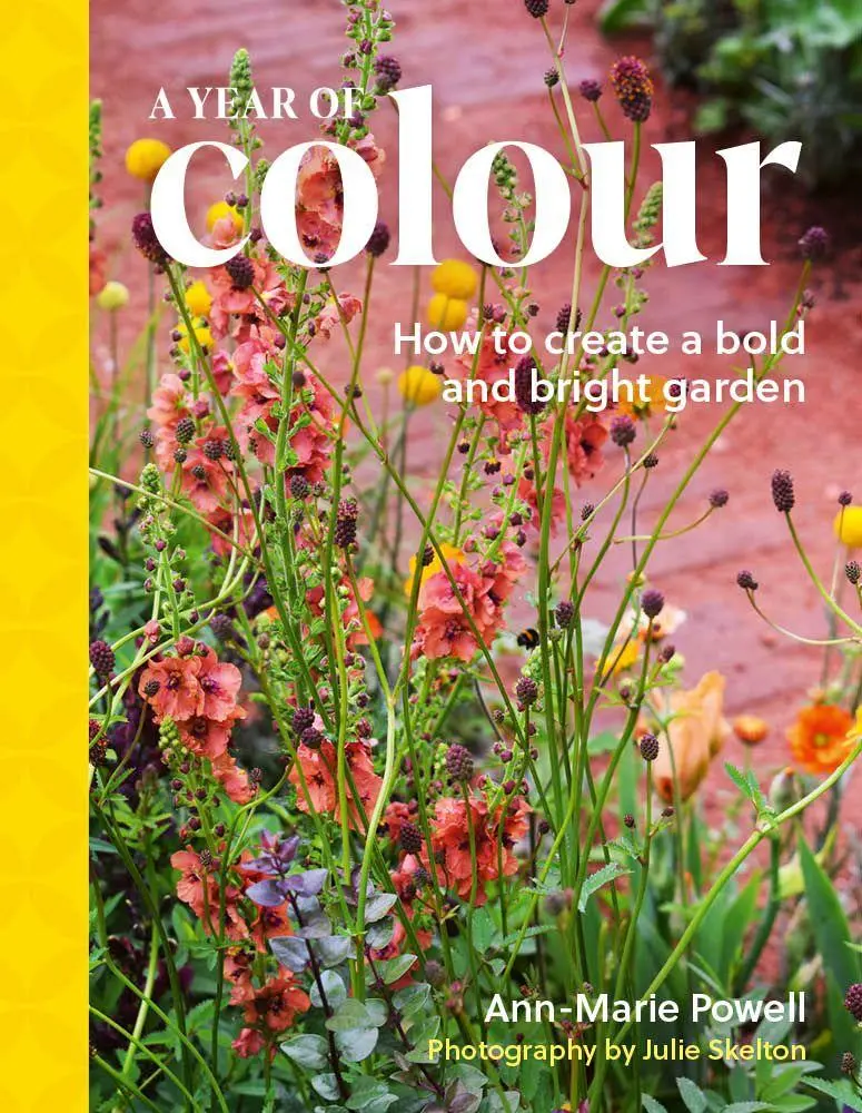 Cover: 9781836003502 | A Year of Colour | How to create a bold and bright garden | Powell