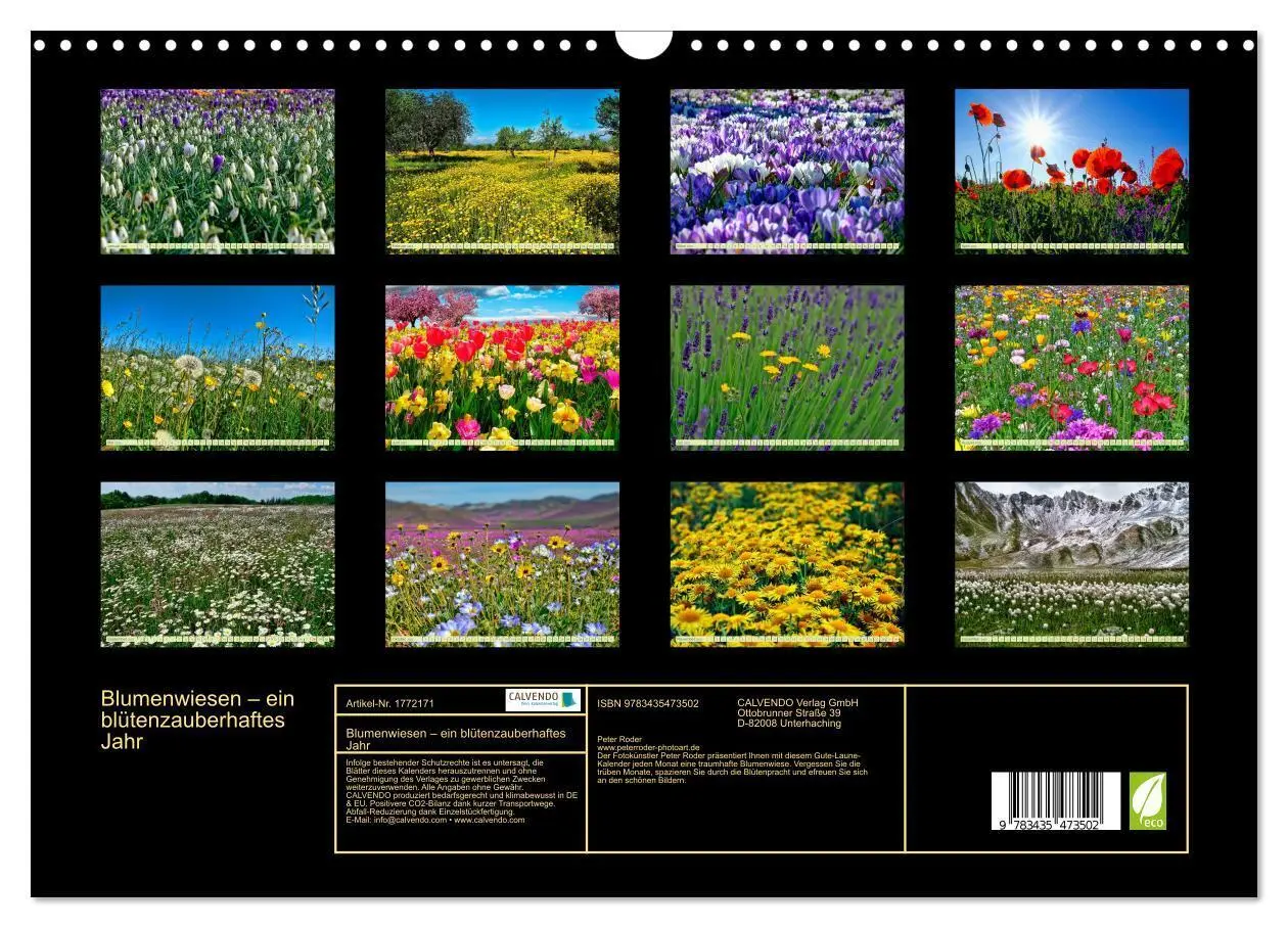 Bild: 9783435473502 | Blumenwiesen - ein blütenzauberhaftes Jahr (Wandkalender 2025 DIN...