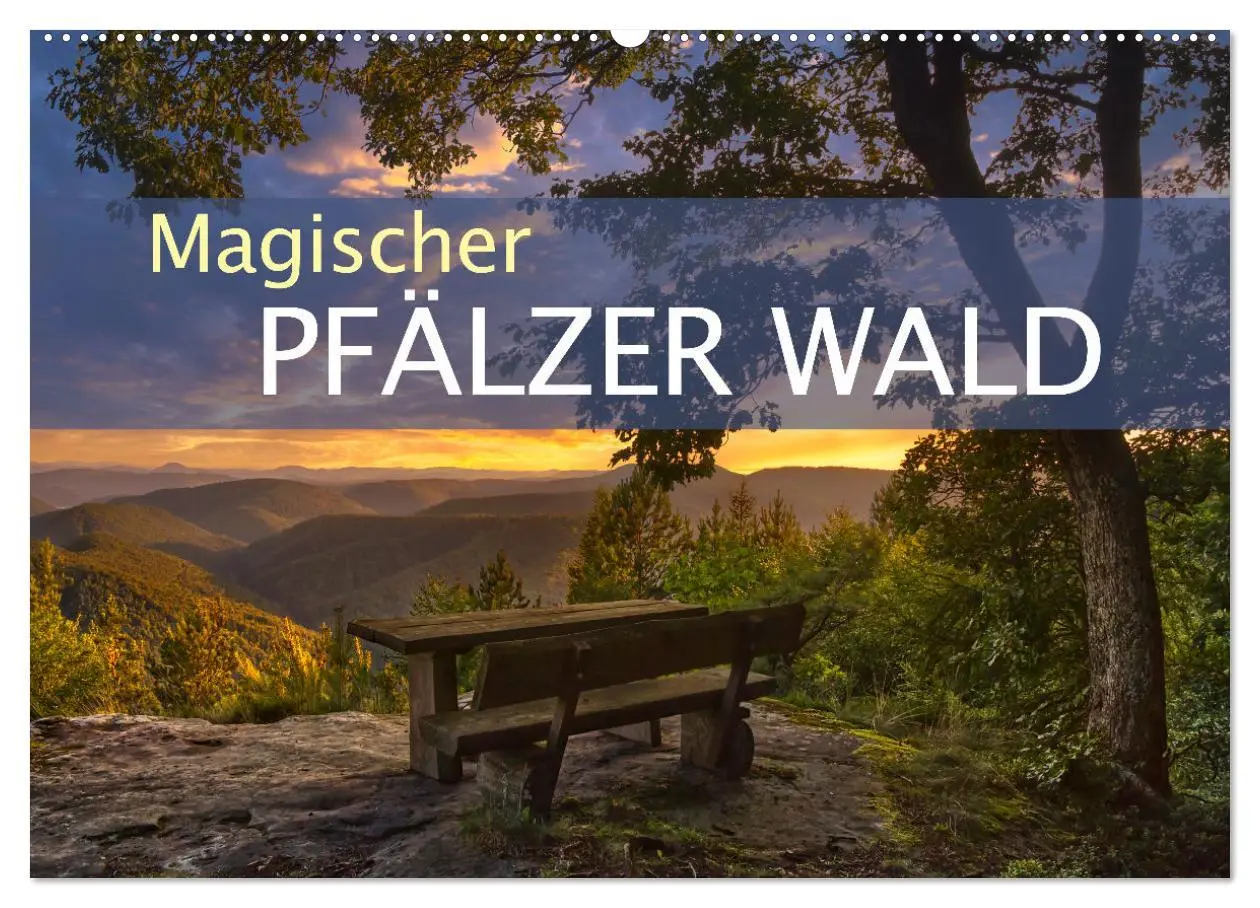 Cover: 9783457563502 | Magischer Pfälzer Wald (Wandkalender 2026 DIN A2 quer), CALVENDO...