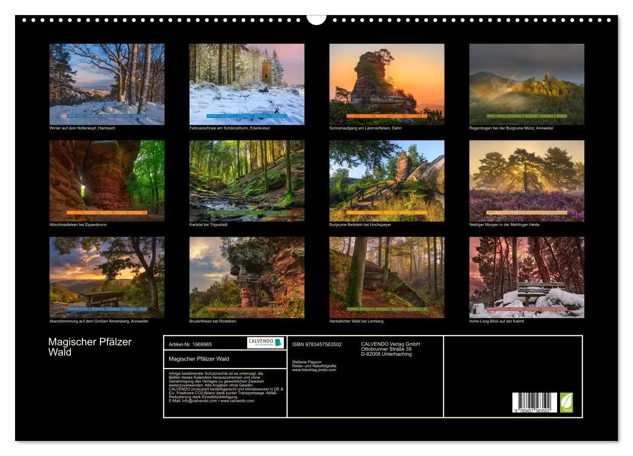 Bild: 9783457563502 | Magischer Pfälzer Wald (Wandkalender 2026 DIN A2 quer), CALVENDO...