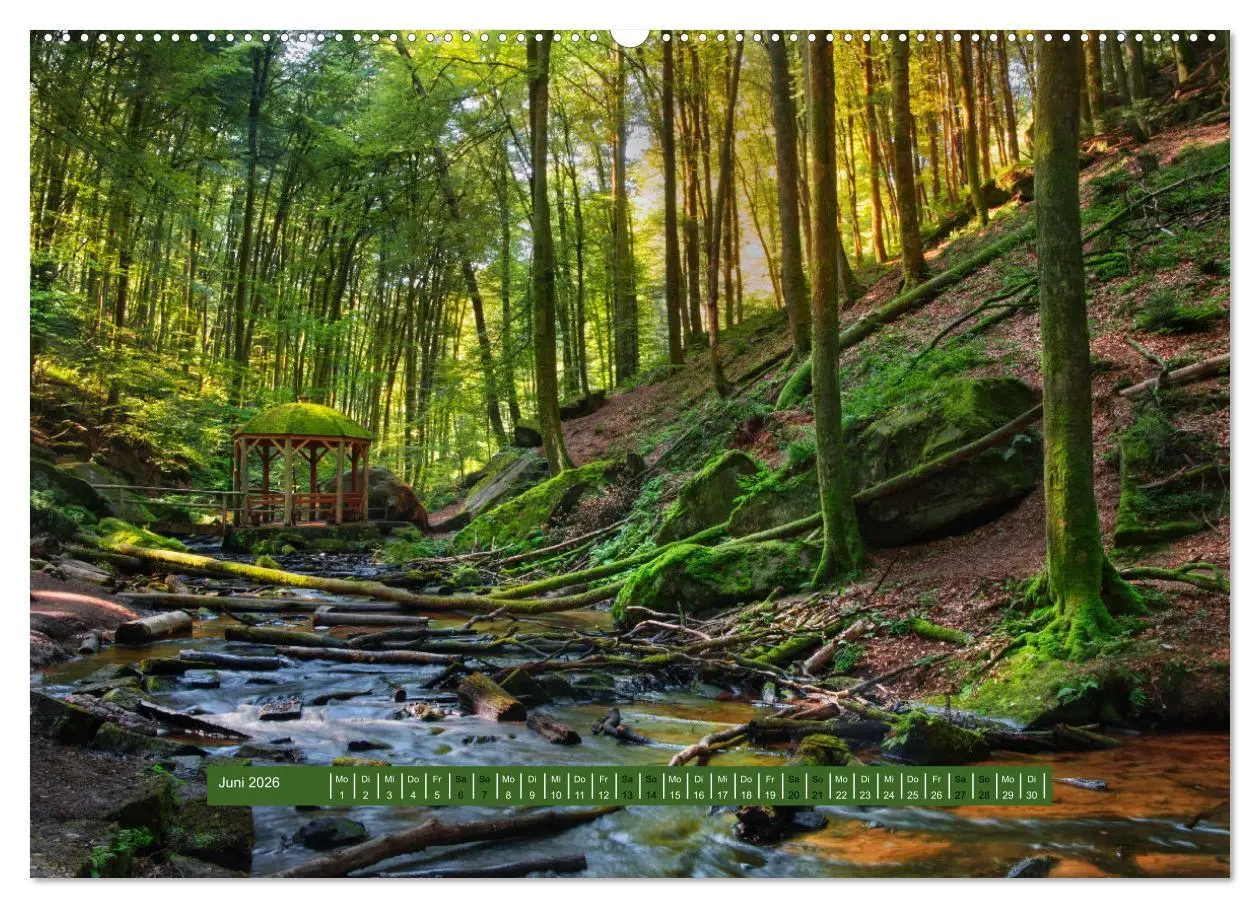 Bild: 9783457563502 | Magischer Pfälzer Wald (Wandkalender 2026 DIN A2 quer), CALVENDO...