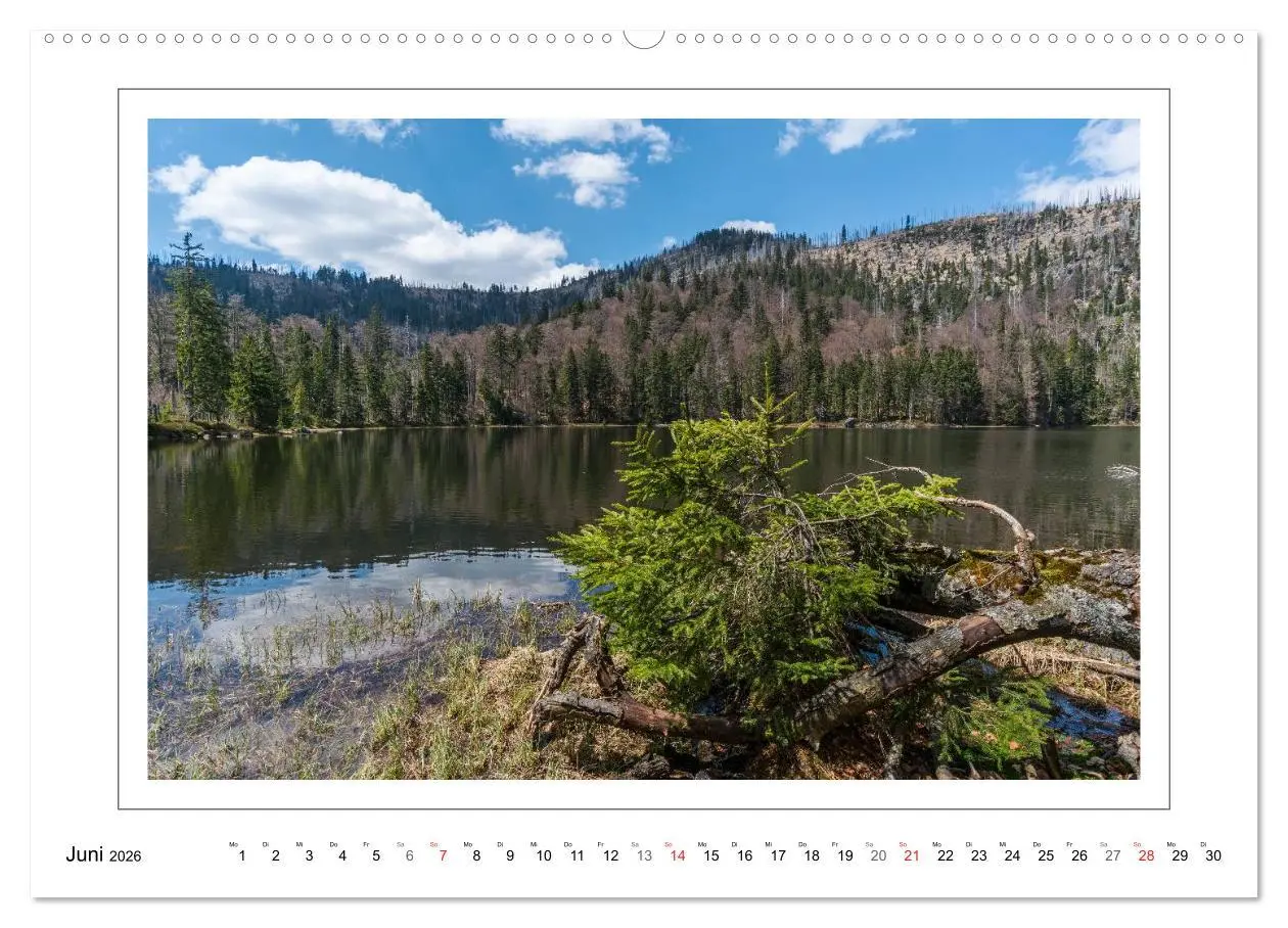 Bild: 9783457943502 | Unterwegs im Bayerischen Wald (hochwertiger Premium Wandkalender...
