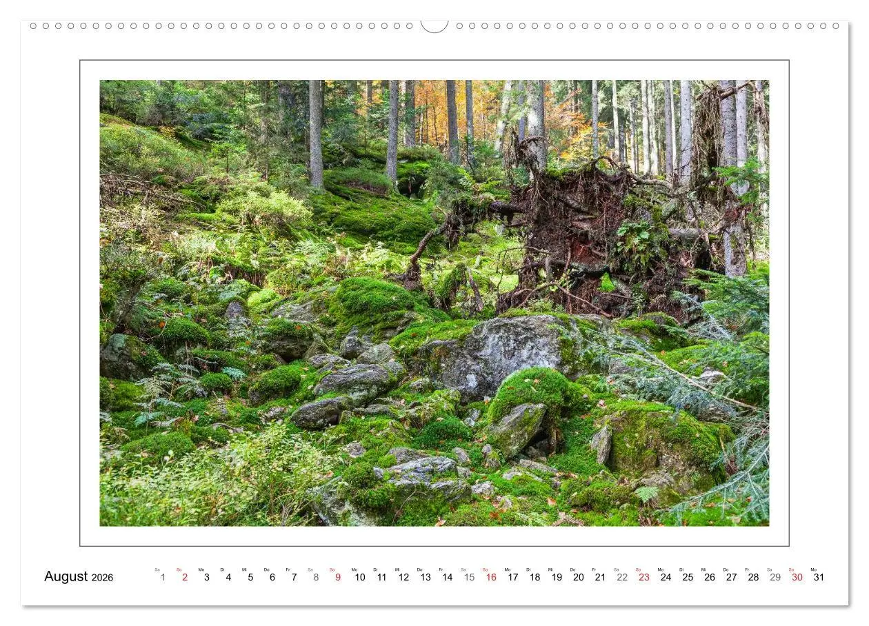 Bild: 9783457943502 | Unterwegs im Bayerischen Wald (hochwertiger Premium Wandkalender...