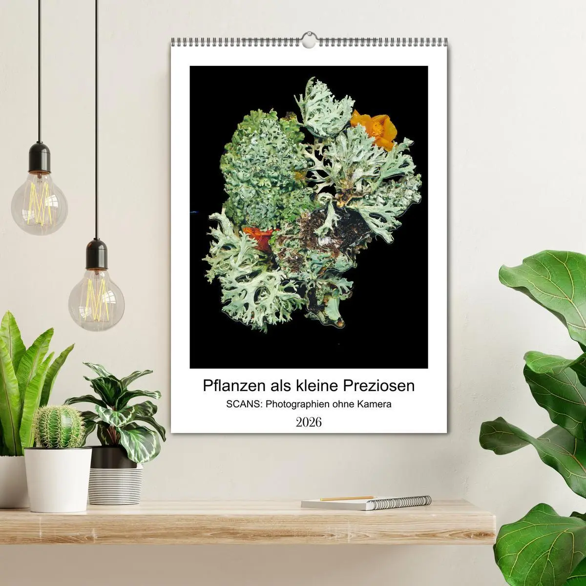 Bild: 9783516333602 | Pflanzen als kleine Preziosen (Wandkalender 2026 DIN A2 hoch),...