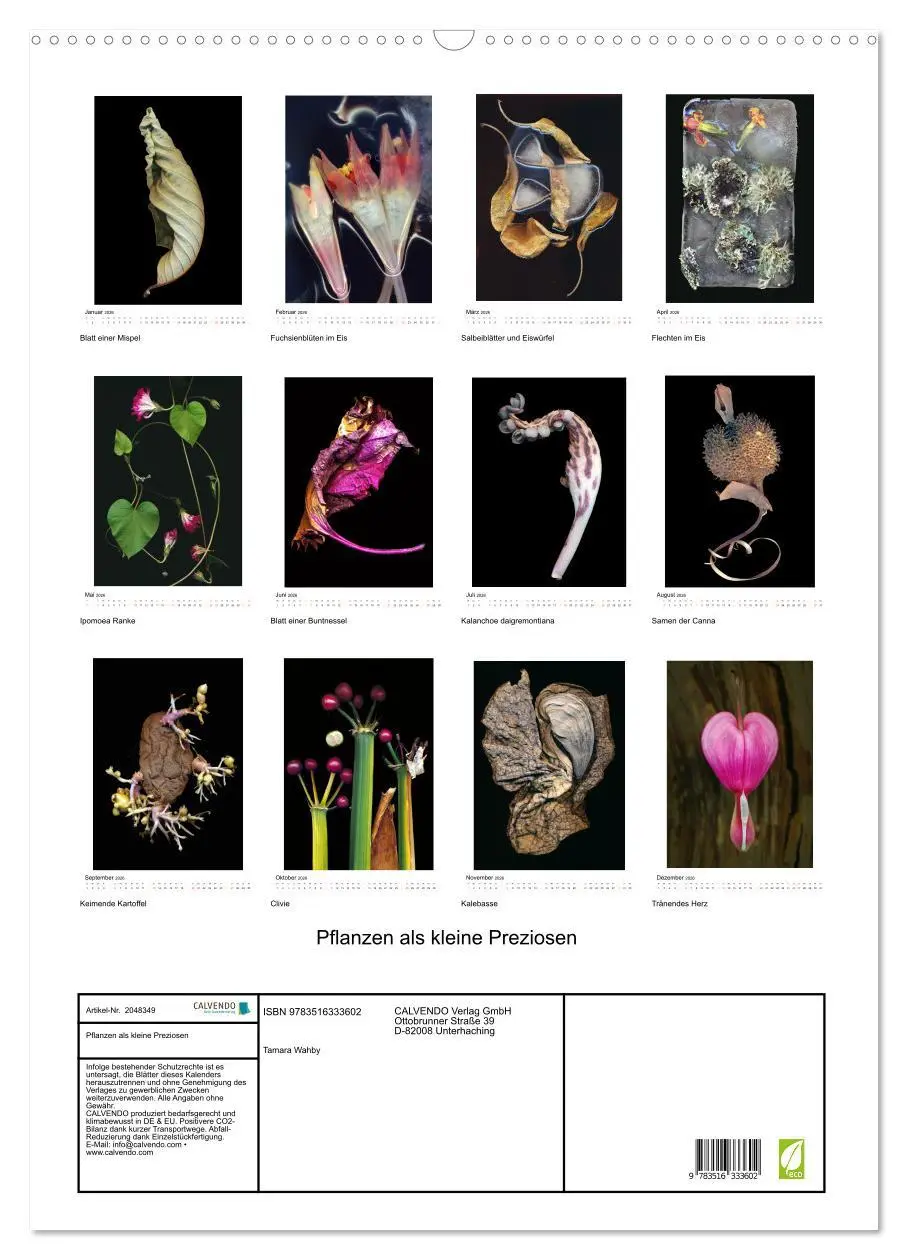 Bild: 9783516333602 | Pflanzen als kleine Preziosen (Wandkalender 2026 DIN A2 hoch),...