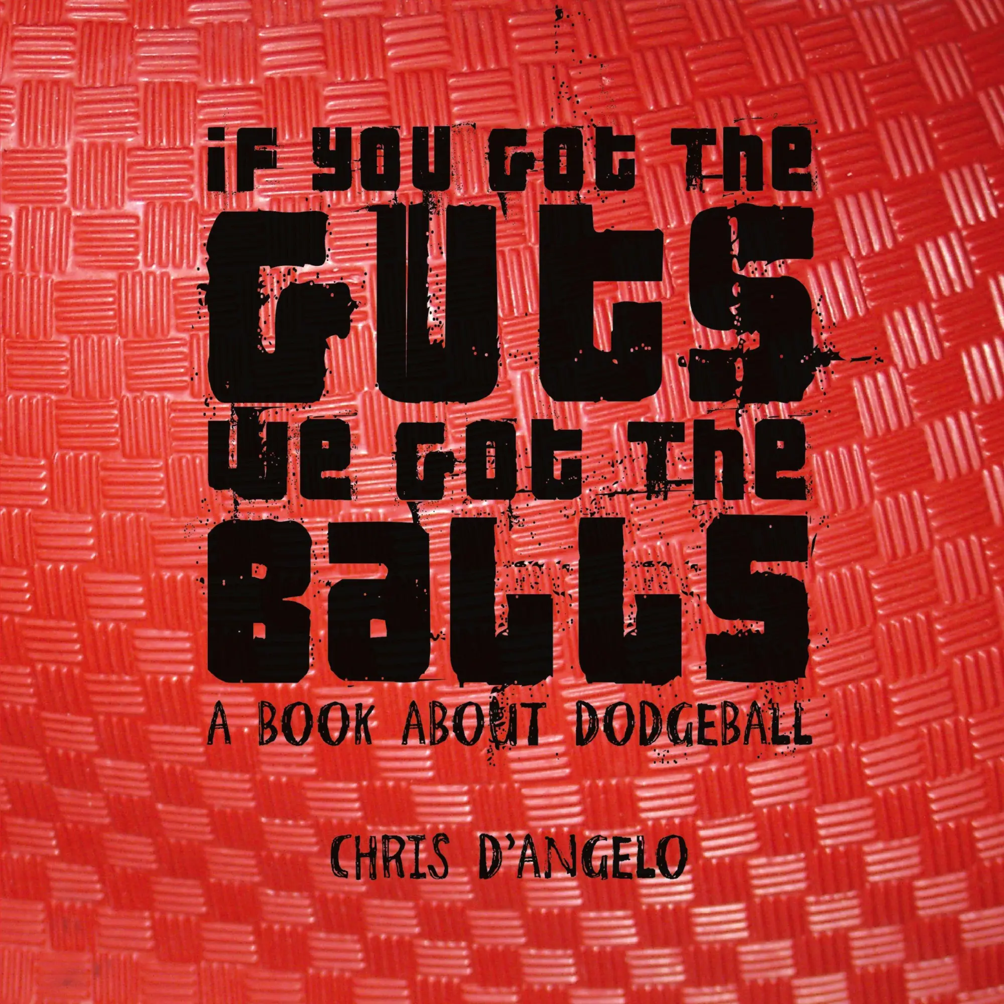 Cover: 9780615243702 | If you got the Guts, we got the Balls | A book about Dodgeball | Buch