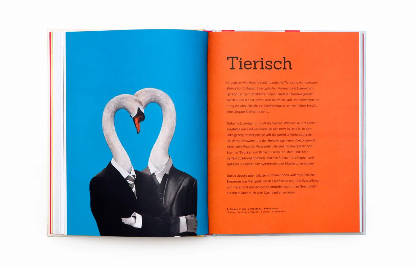 Bild: 9783962443702 | Projekt: Collage | Bev Speight | Taschenbuch | 144 S. | Deutsch | 2024