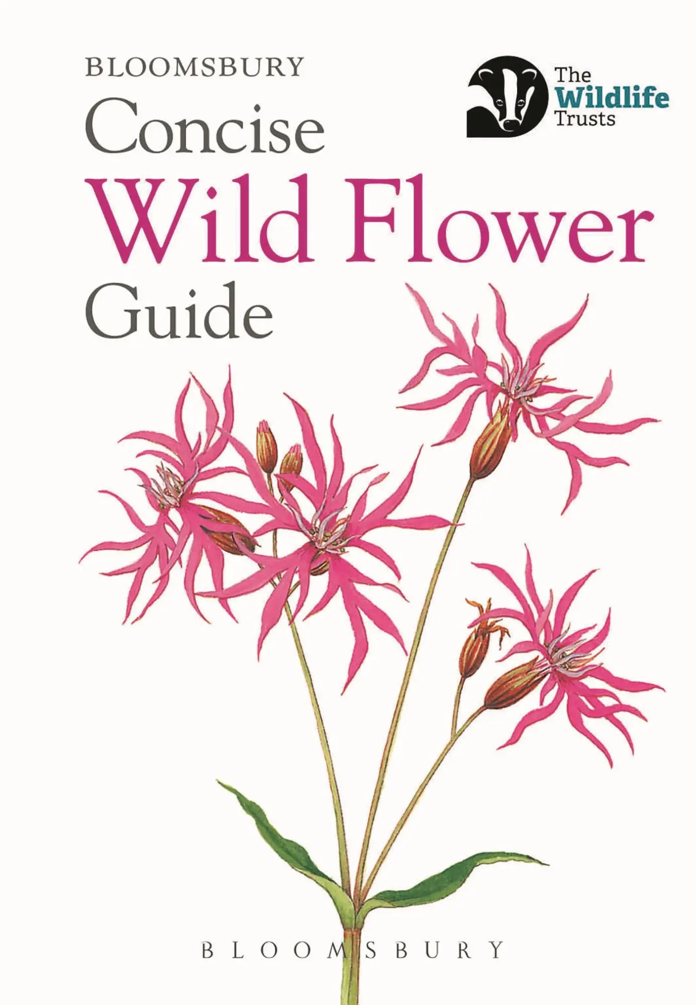 Cover: 9781472963802 | Concise Wild Flower Guide | Bloomsbury | Taschenbuch | Englisch | 2018