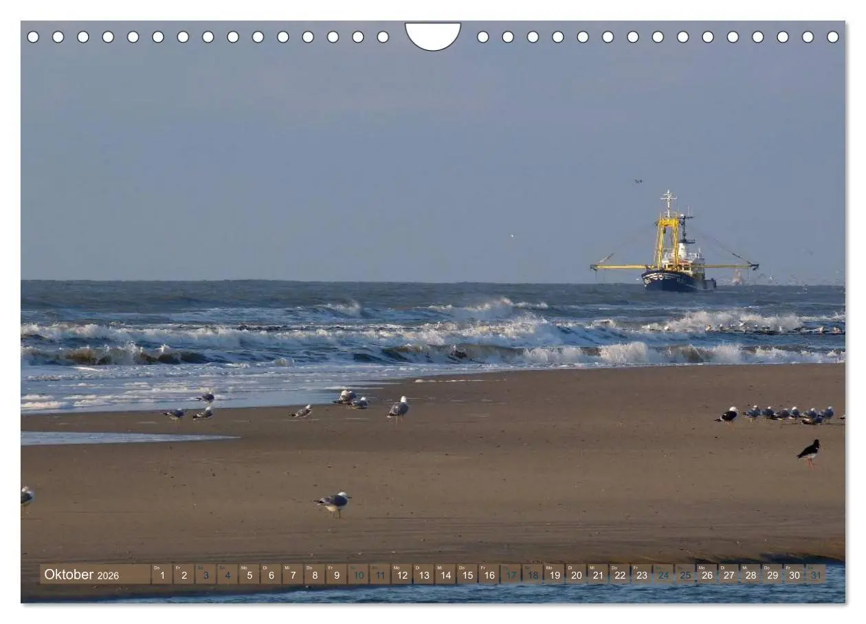 Bild: 9783516163902 | Strandwanderungen auf Texel (Wandkalender 2026 DIN A4 quer),...
