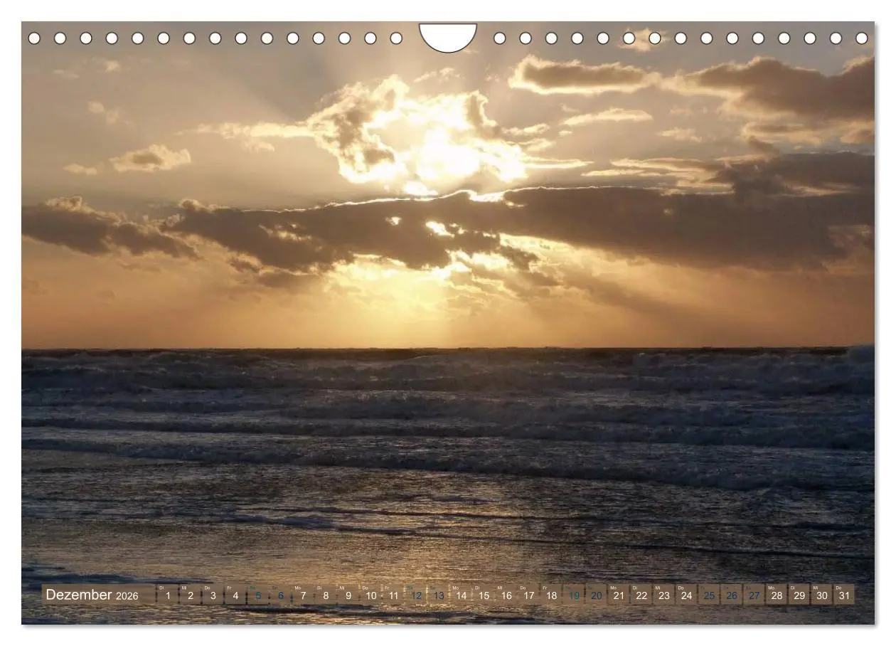 Bild: 9783516163902 | Strandwanderungen auf Texel (Wandkalender 2026 DIN A4 quer),...