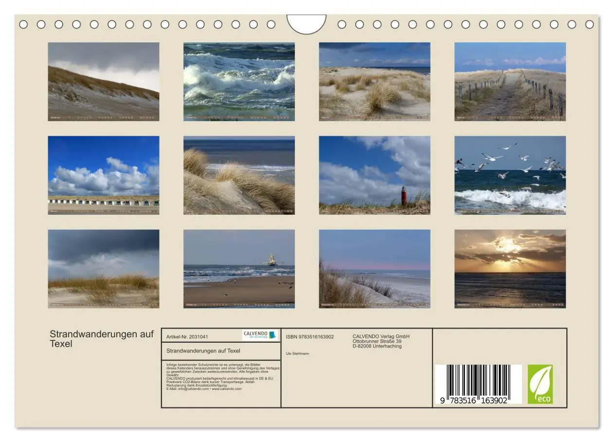 Bild: 9783516163902 | Strandwanderungen auf Texel (Wandkalender 2026 DIN A4 quer),...