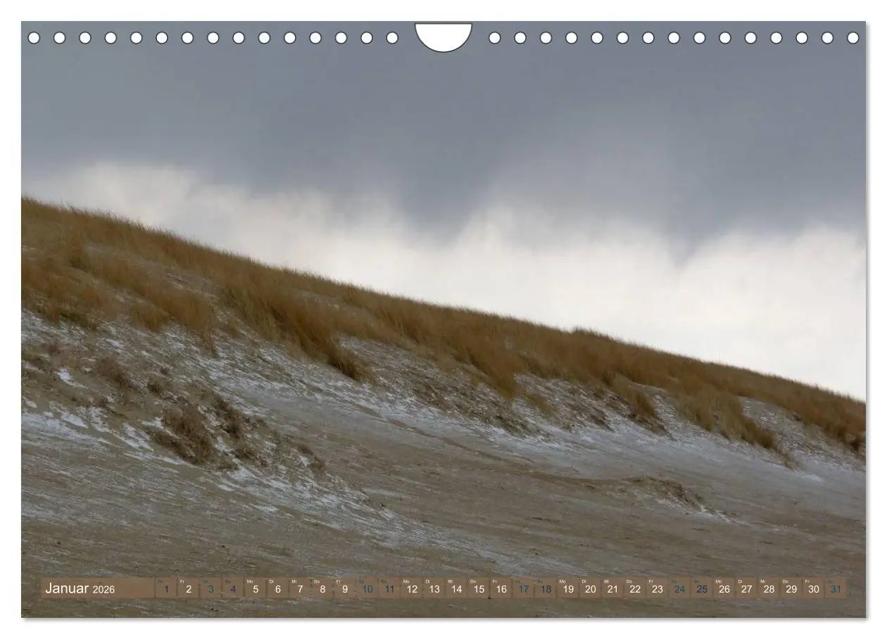 Bild: 9783516163902 | Strandwanderungen auf Texel (Wandkalender 2026 DIN A4 quer),...