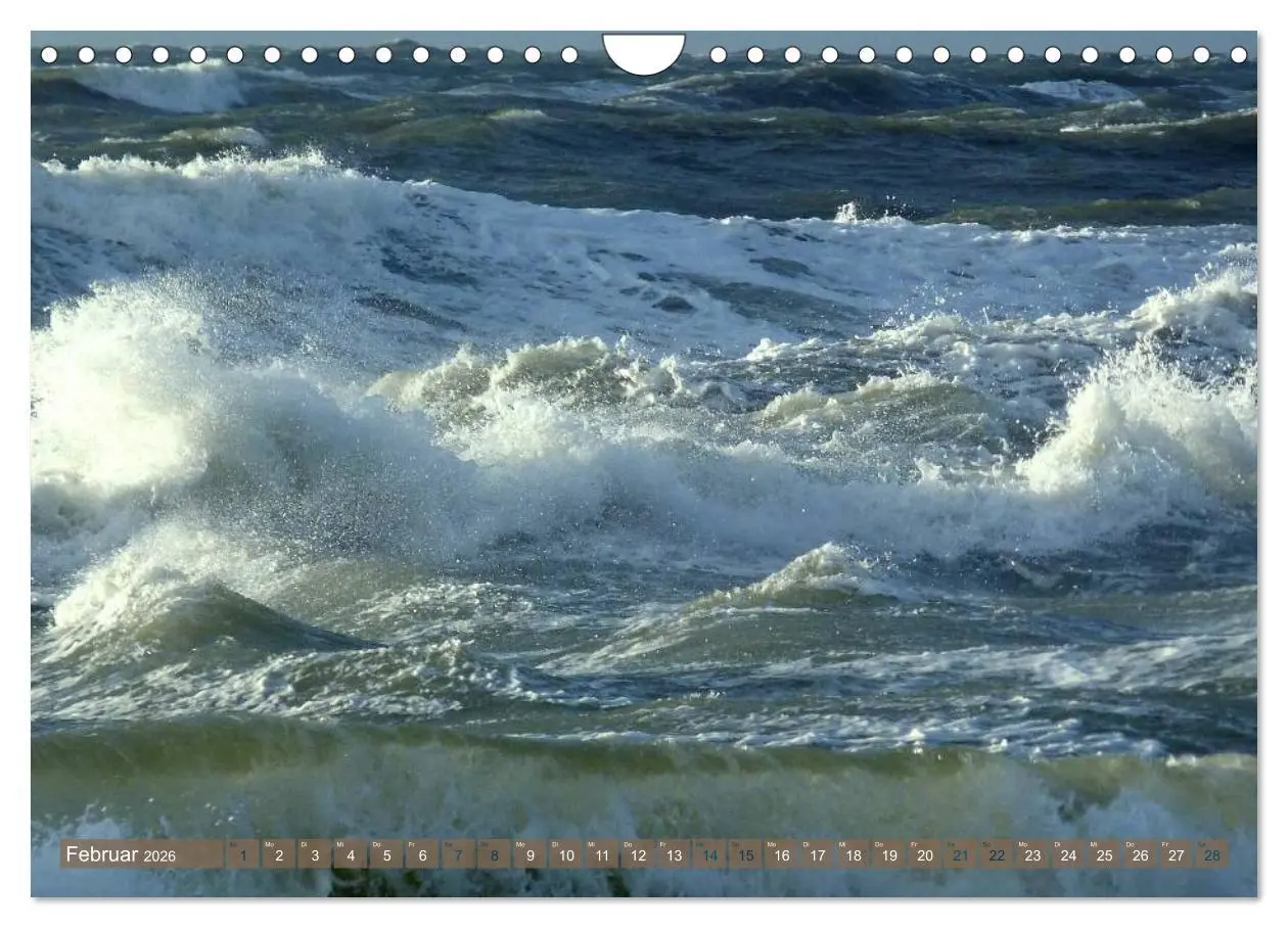 Bild: 9783516163902 | Strandwanderungen auf Texel (Wandkalender 2026 DIN A4 quer),...