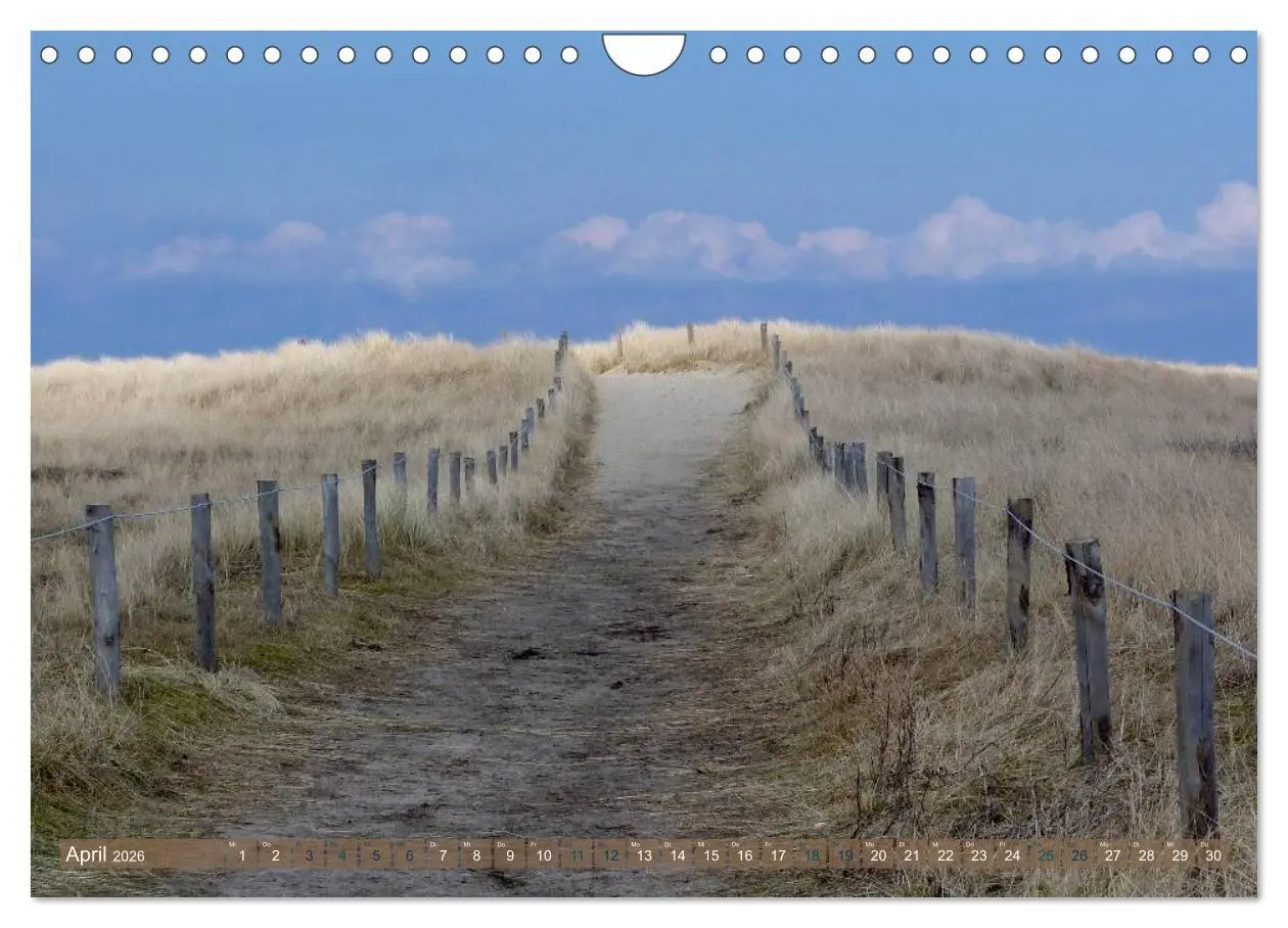 Bild: 9783516163902 | Strandwanderungen auf Texel (Wandkalender 2026 DIN A4 quer),...