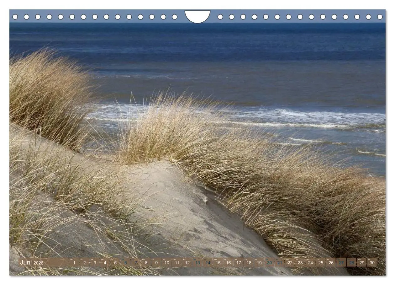 Bild: 9783516163902 | Strandwanderungen auf Texel (Wandkalender 2026 DIN A4 quer),...
