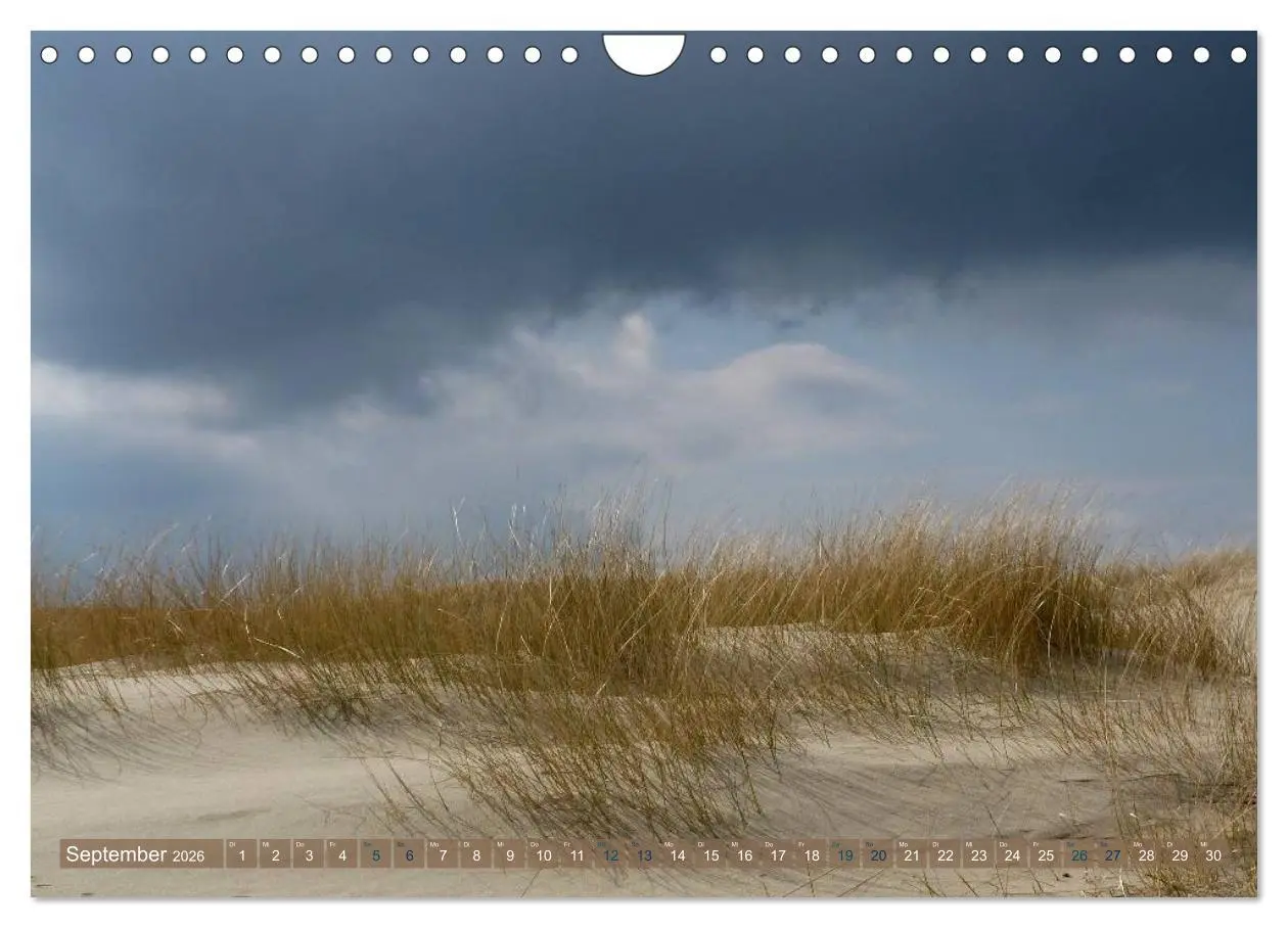Bild: 9783516163902 | Strandwanderungen auf Texel (Wandkalender 2026 DIN A4 quer),...