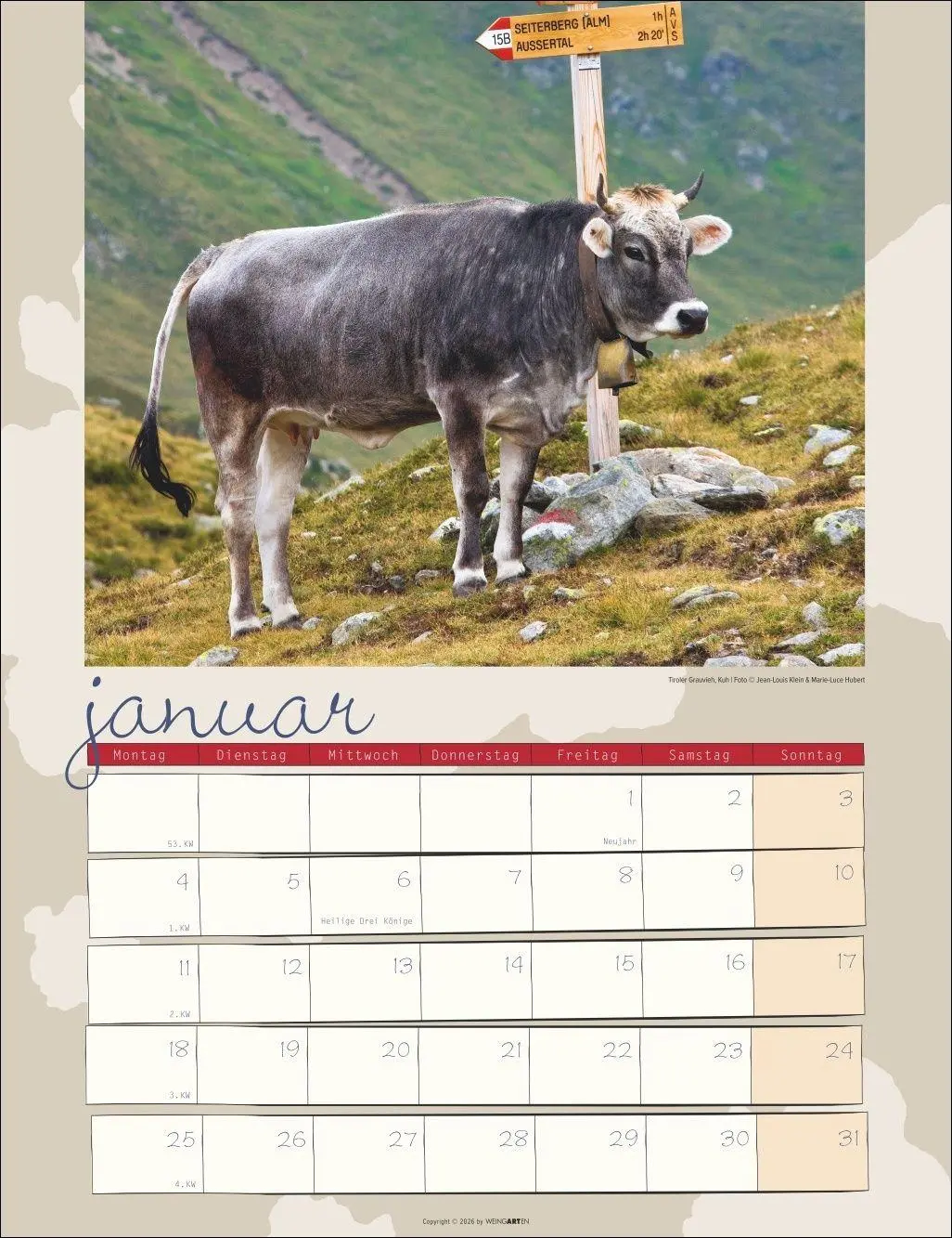 Bild: 9783839903902 | Kuh Kalender 2027 | Marie-Luce Hubert | Kalender | Spiralbindung