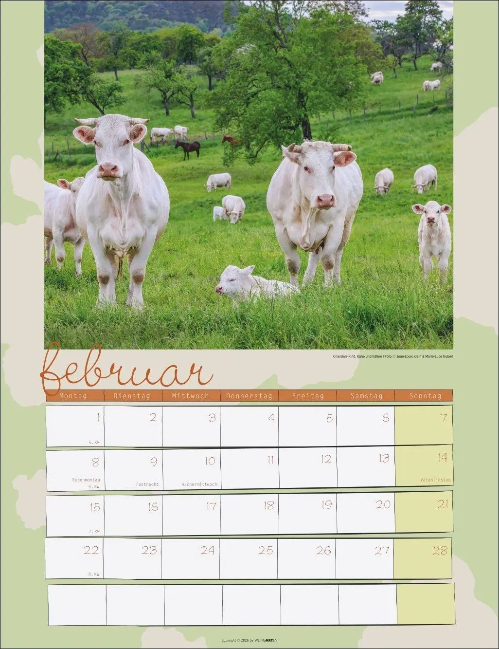 Bild: 9783839903902 | Kuh Kalender 2027 | Marie-Luce Hubert | Kalender | Spiralbindung