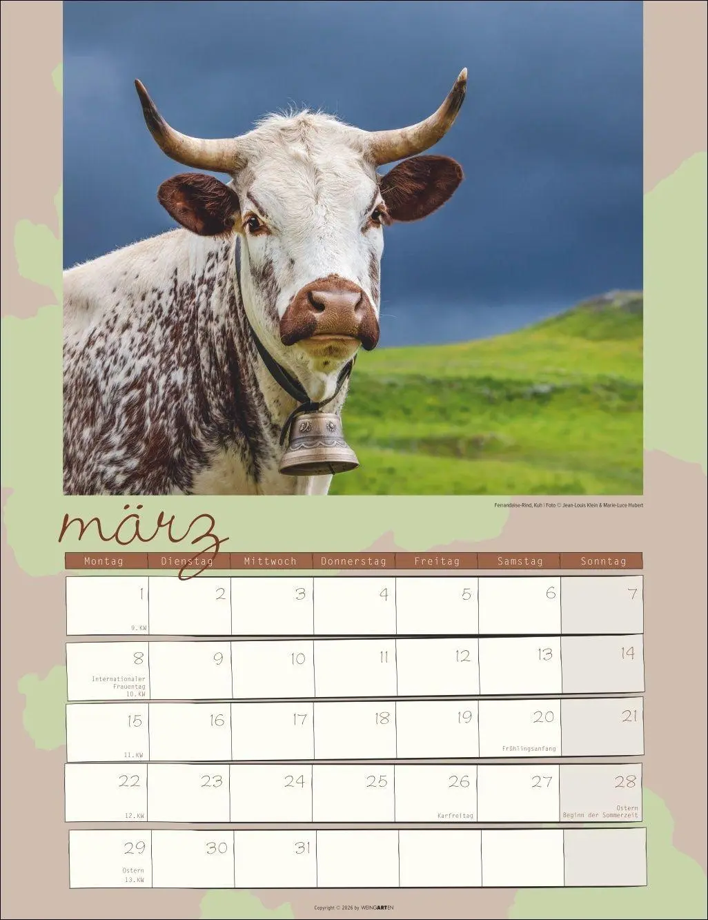 Bild: 9783839903902 | Kuh Kalender 2027 | Marie-Luce Hubert | Kalender | Spiralbindung