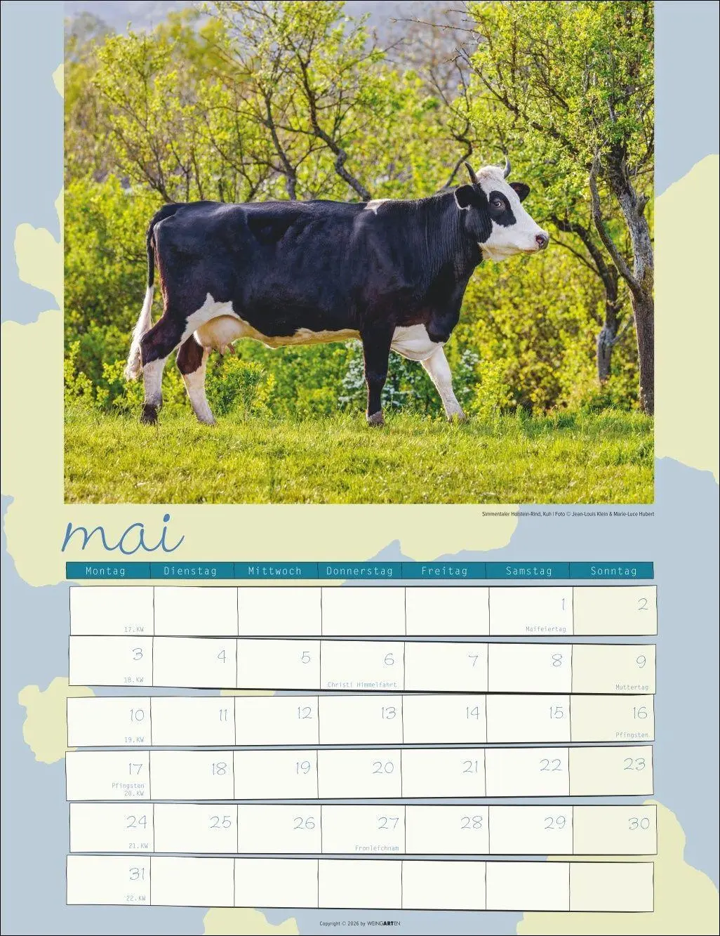 Bild: 9783839903902 | Kuh Kalender 2027 | Marie-Luce Hubert | Kalender | Spiralbindung