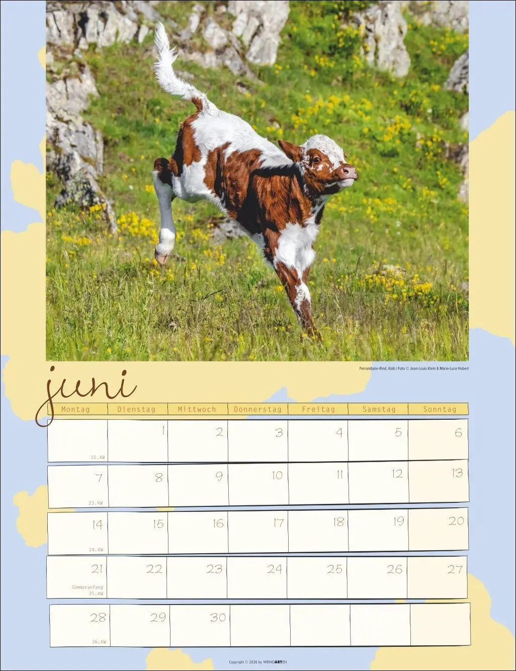 Bild: 9783839903902 | Kuh Kalender 2027 | Marie-Luce Hubert | Kalender | Spiralbindung