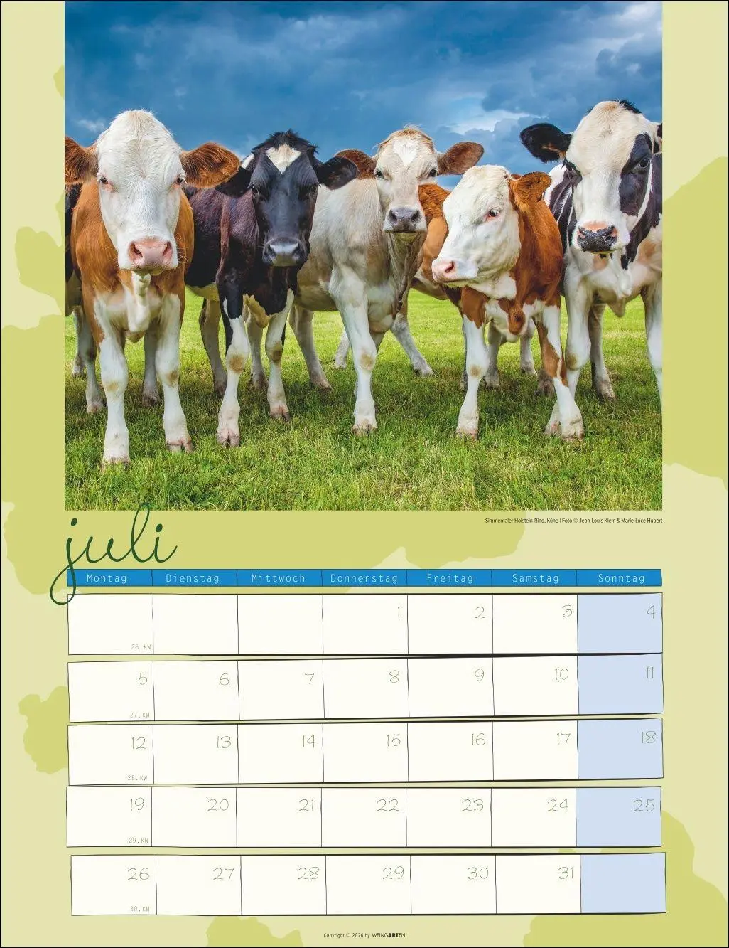 Bild: 9783839903902 | Kuh Kalender 2027 | Marie-Luce Hubert | Kalender | Spiralbindung